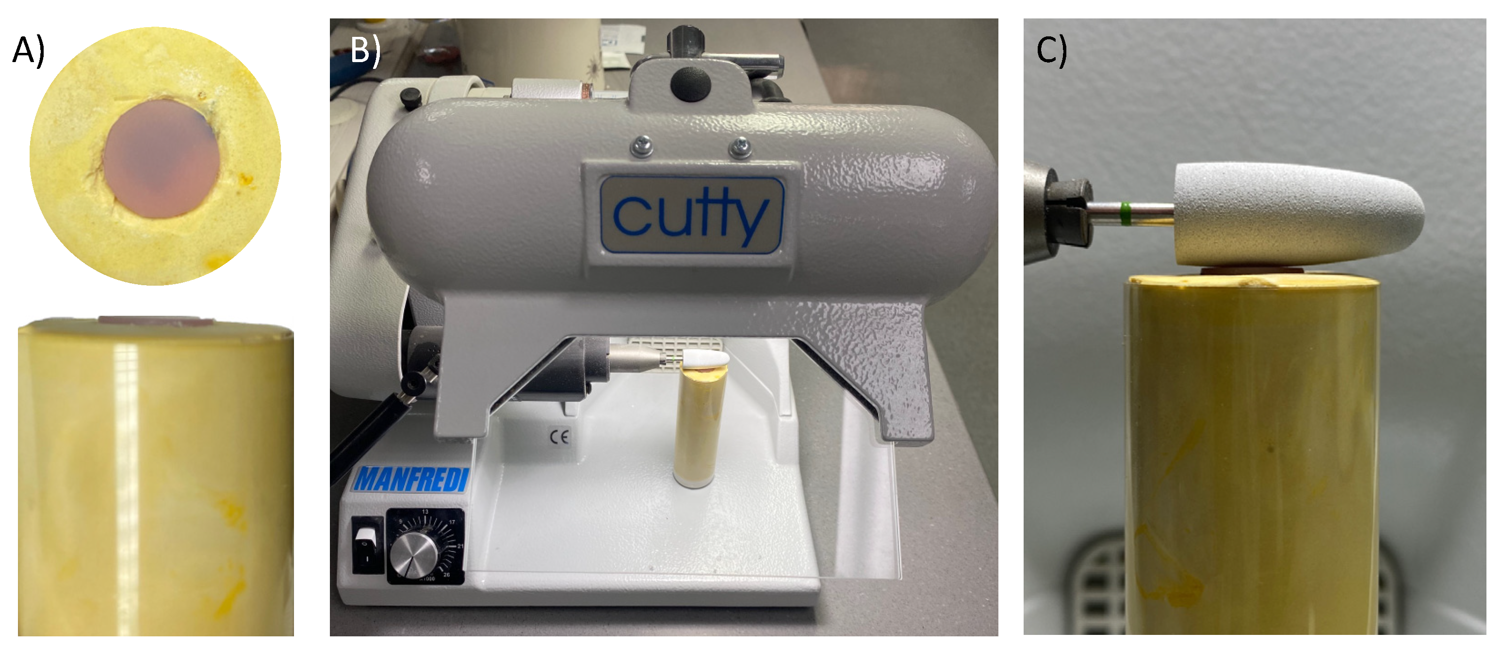 Preprints 74153 g003