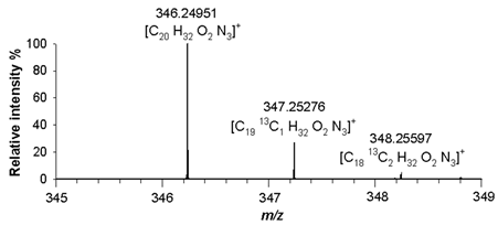 Preprints 94081 i006