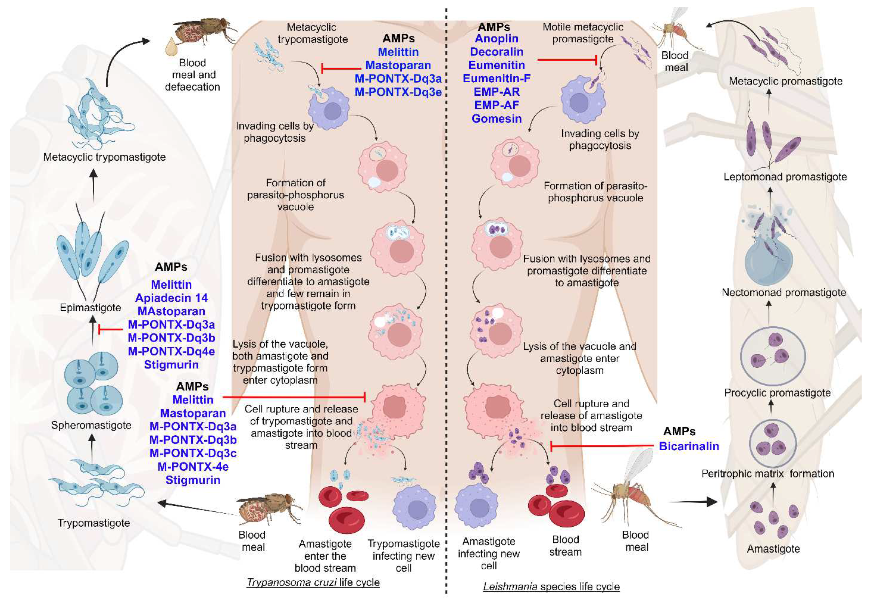 Preprints 84148 g006