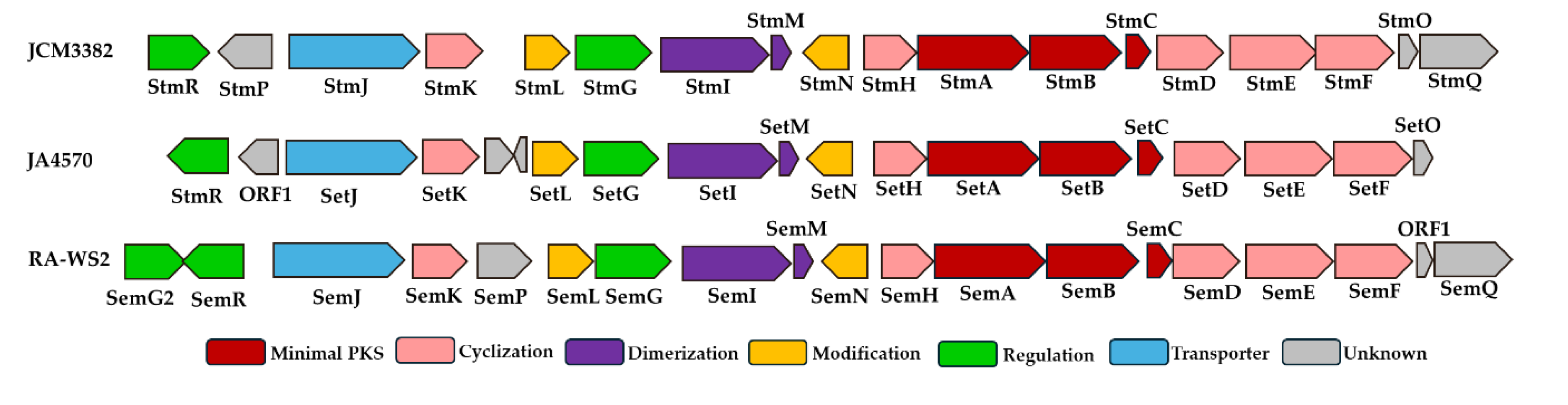 Preprints 111998 g002