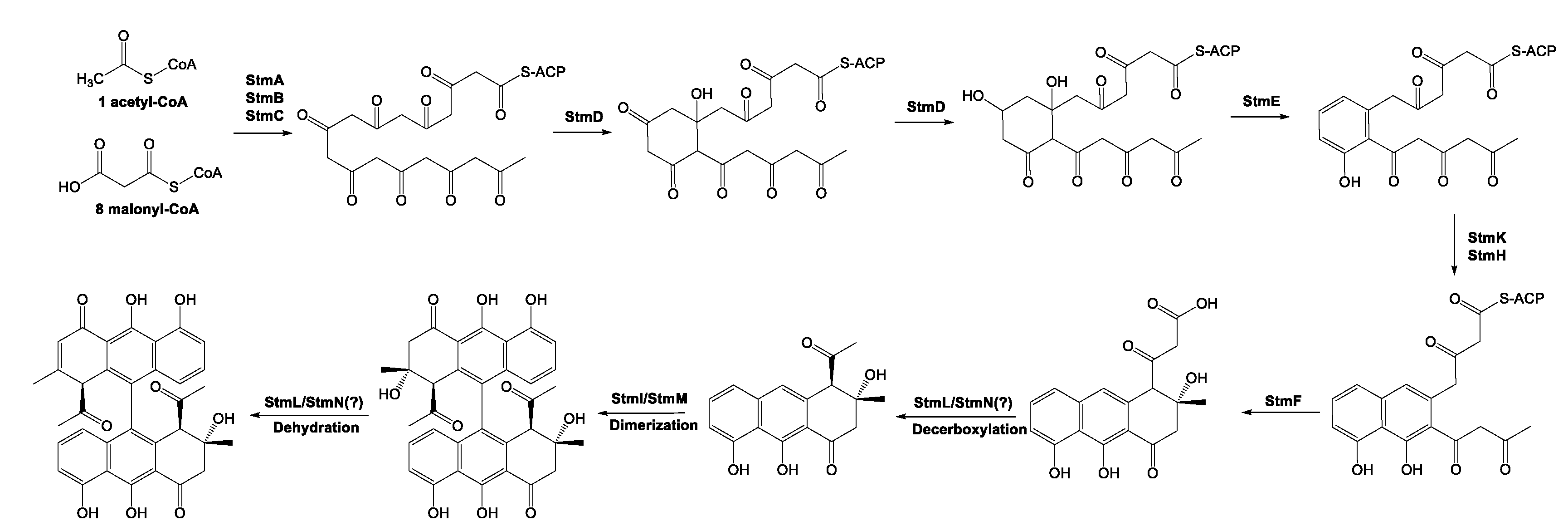 Preprints 111998 g003