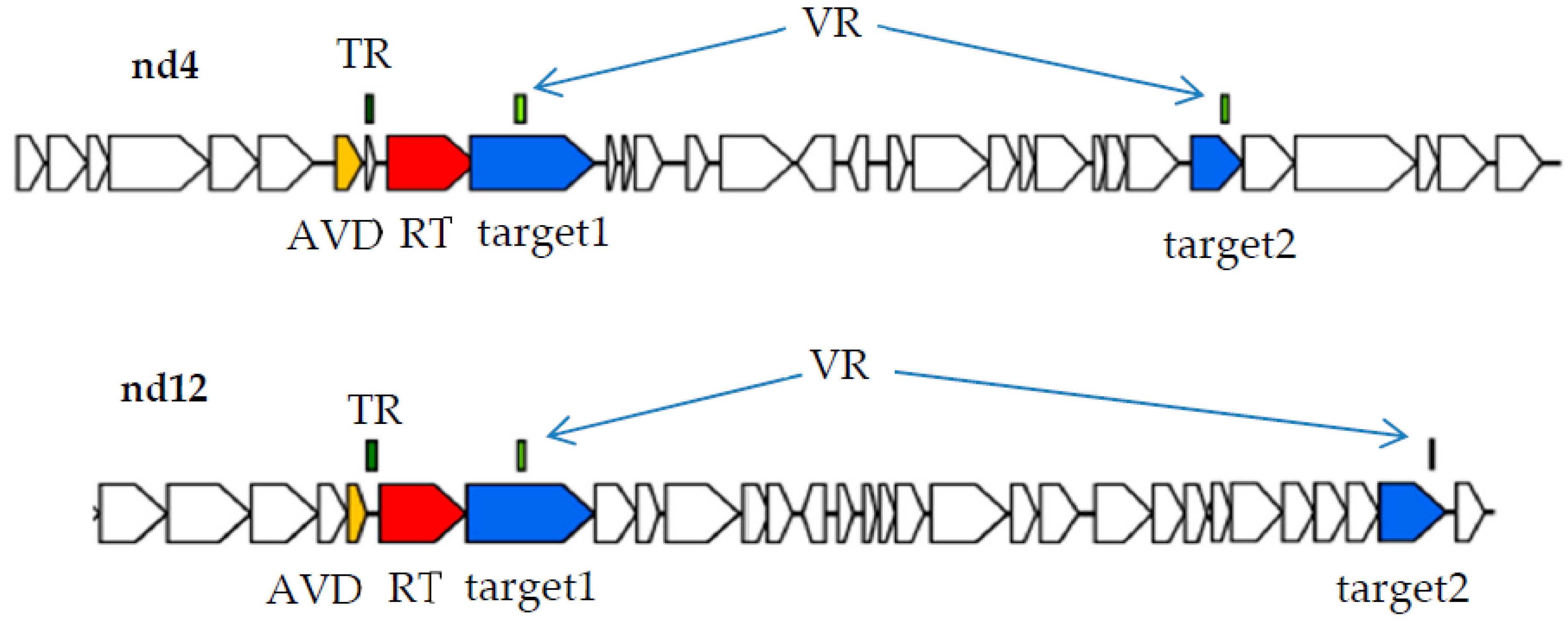 Preprints 90554 g001