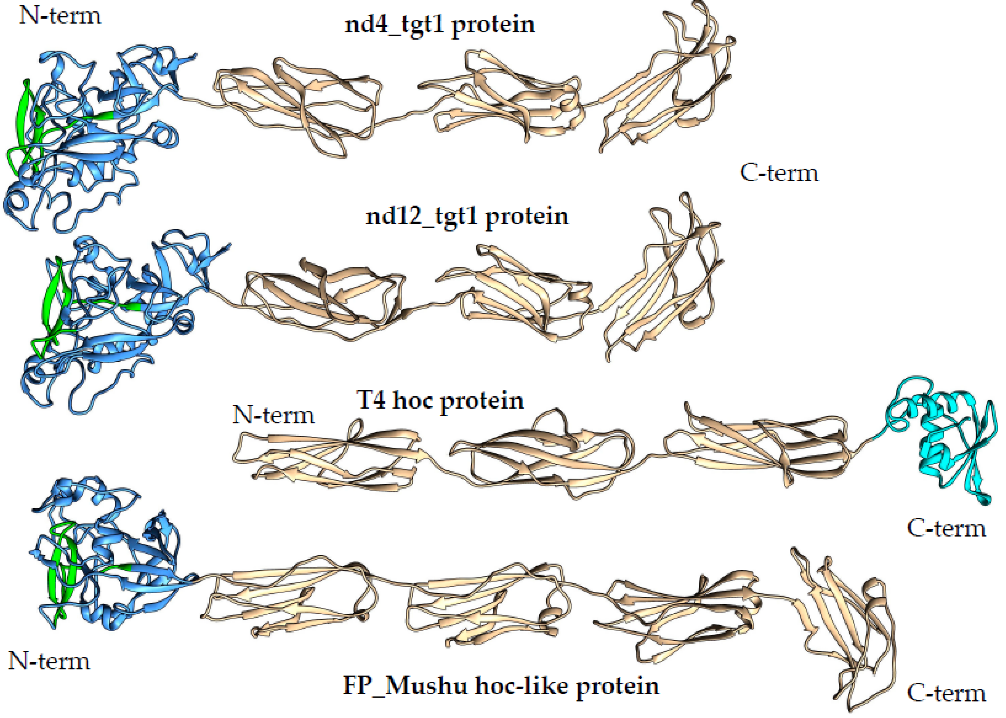 Preprints 90554 g003