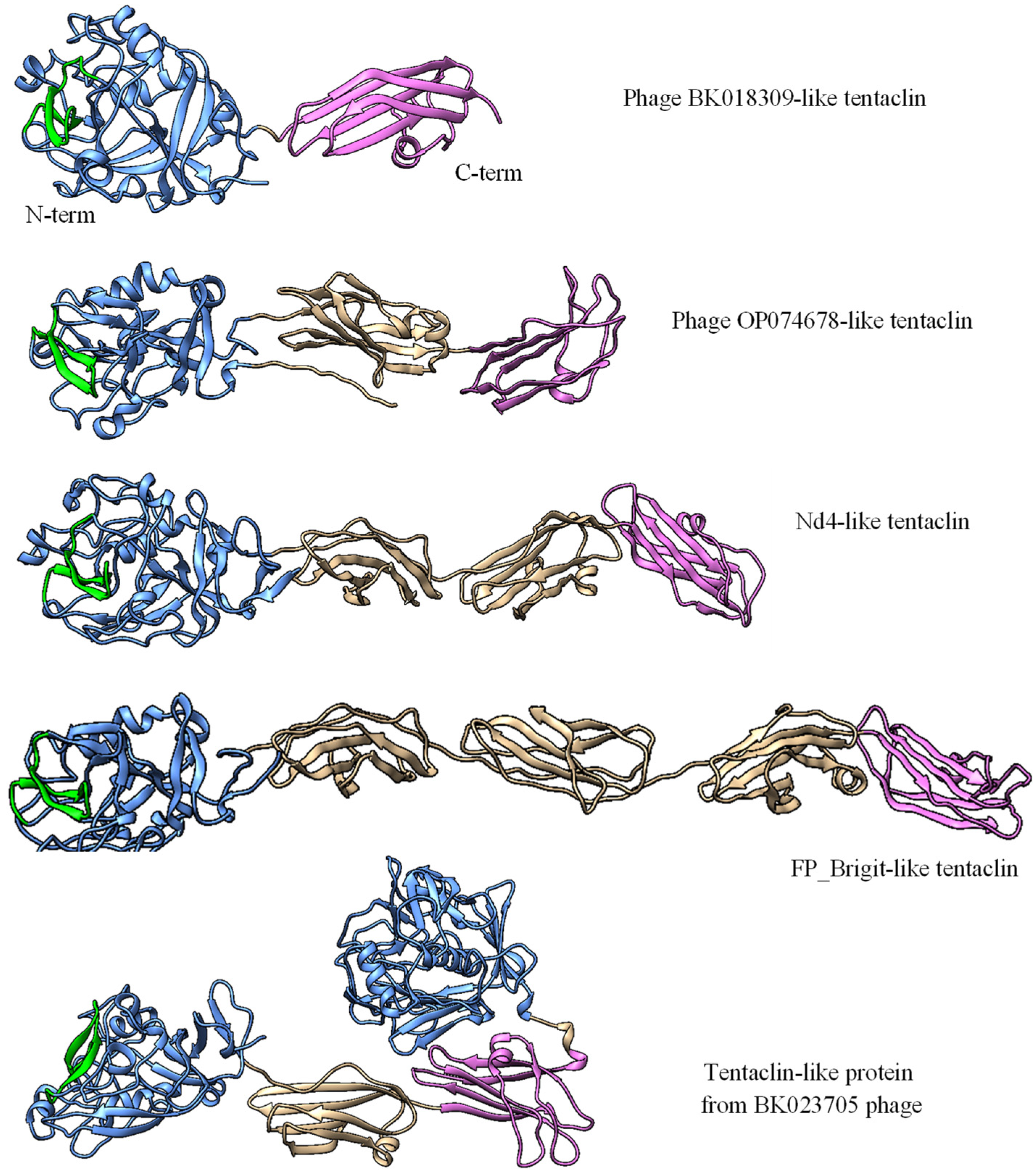 Preprints 90554 g006