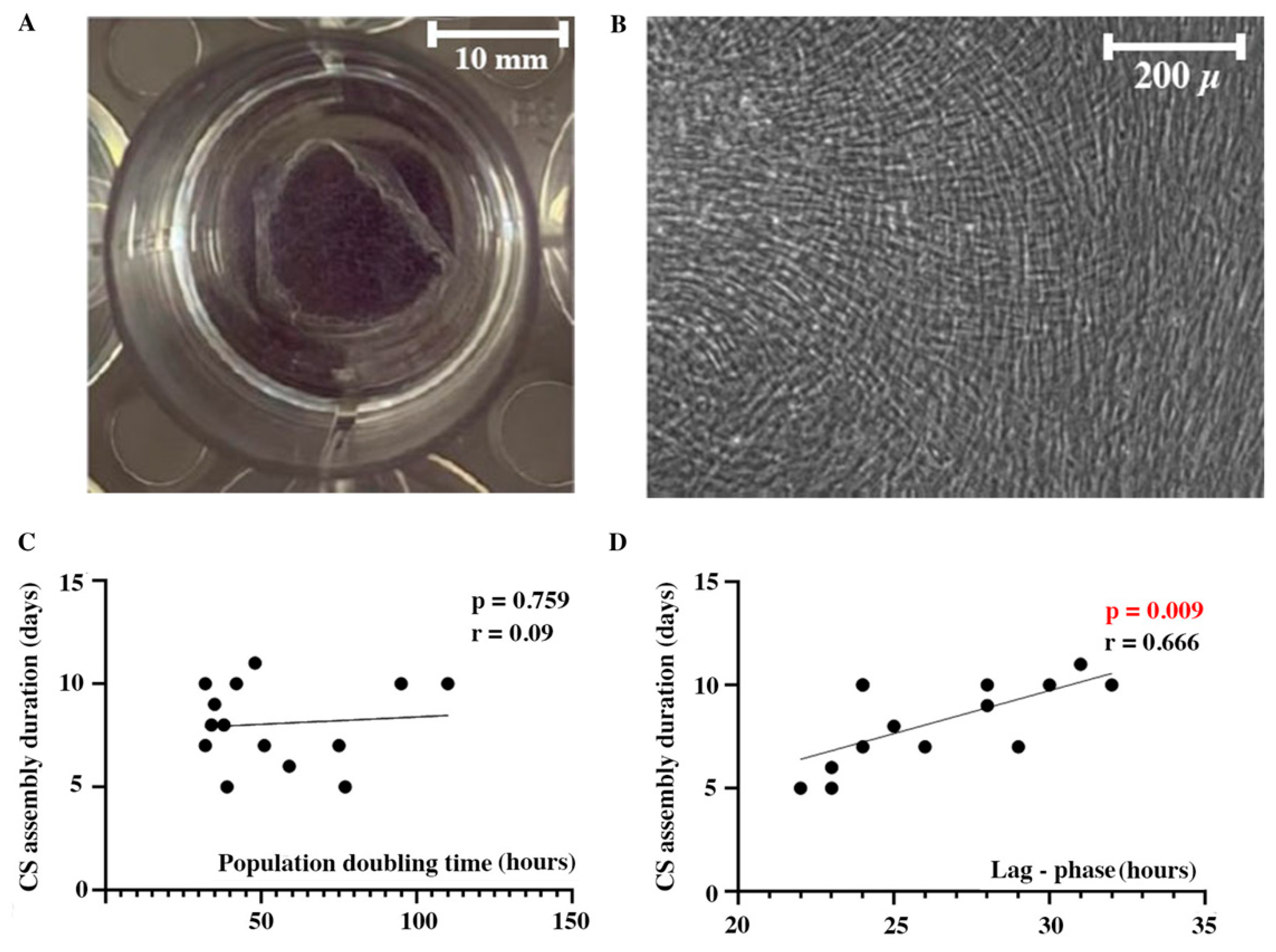 Preprints 86742 g001