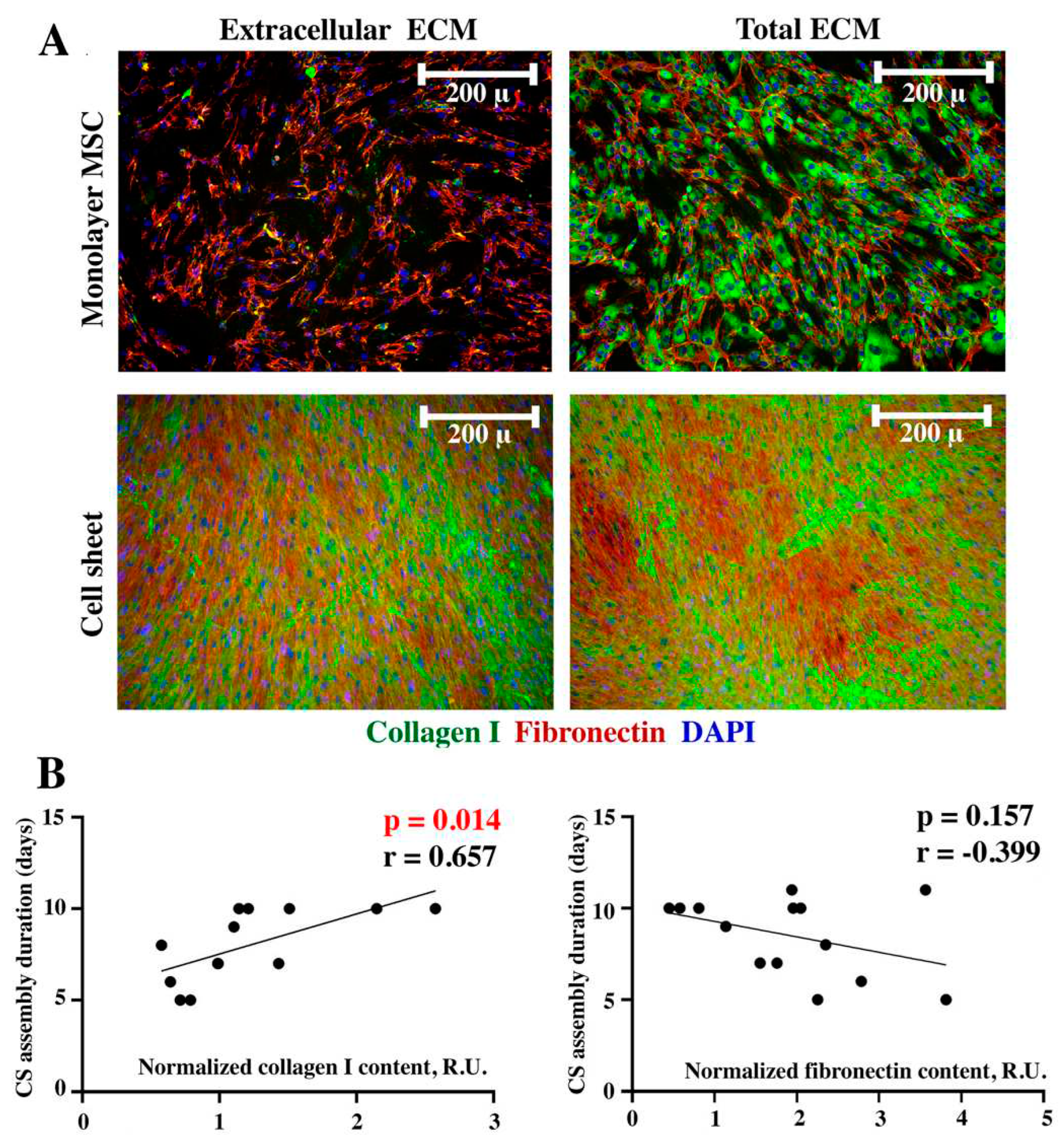 Preprints 86742 g003