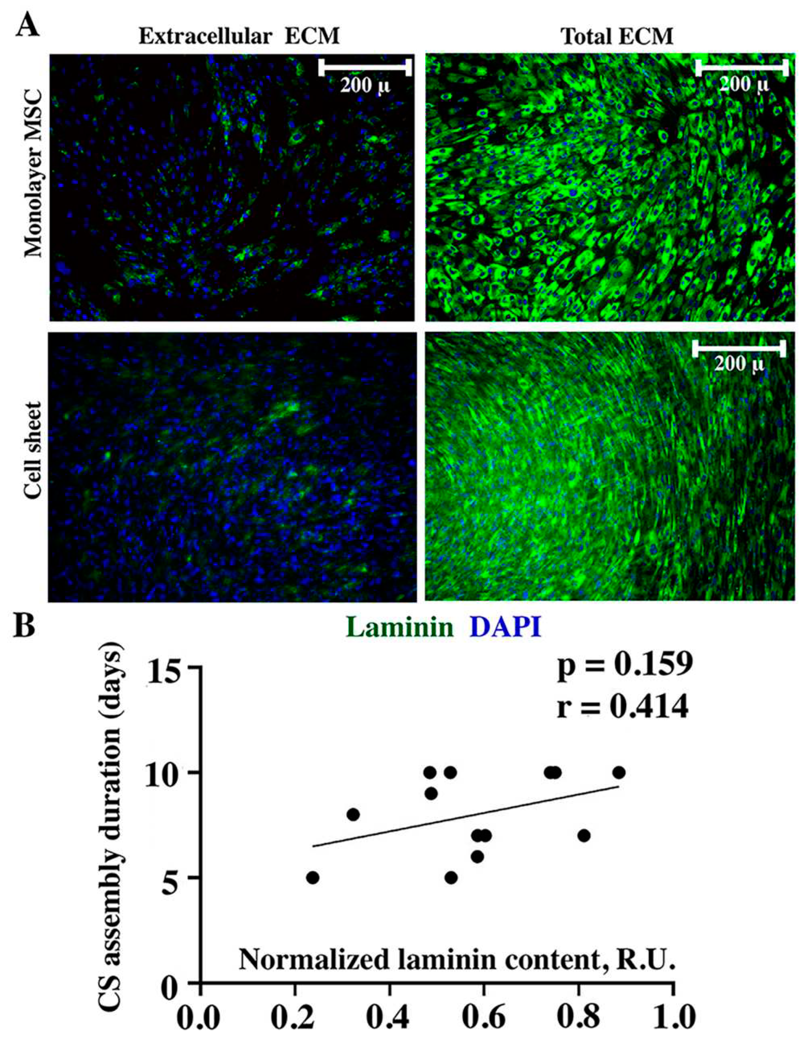 Preprints 86742 g004