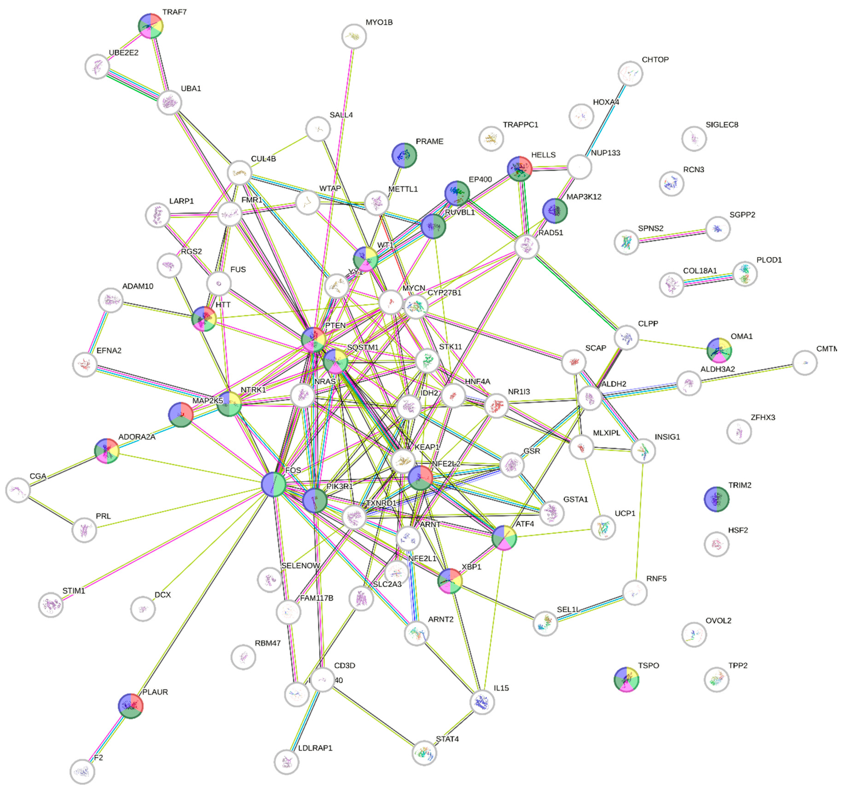 Preprints 113638 g004