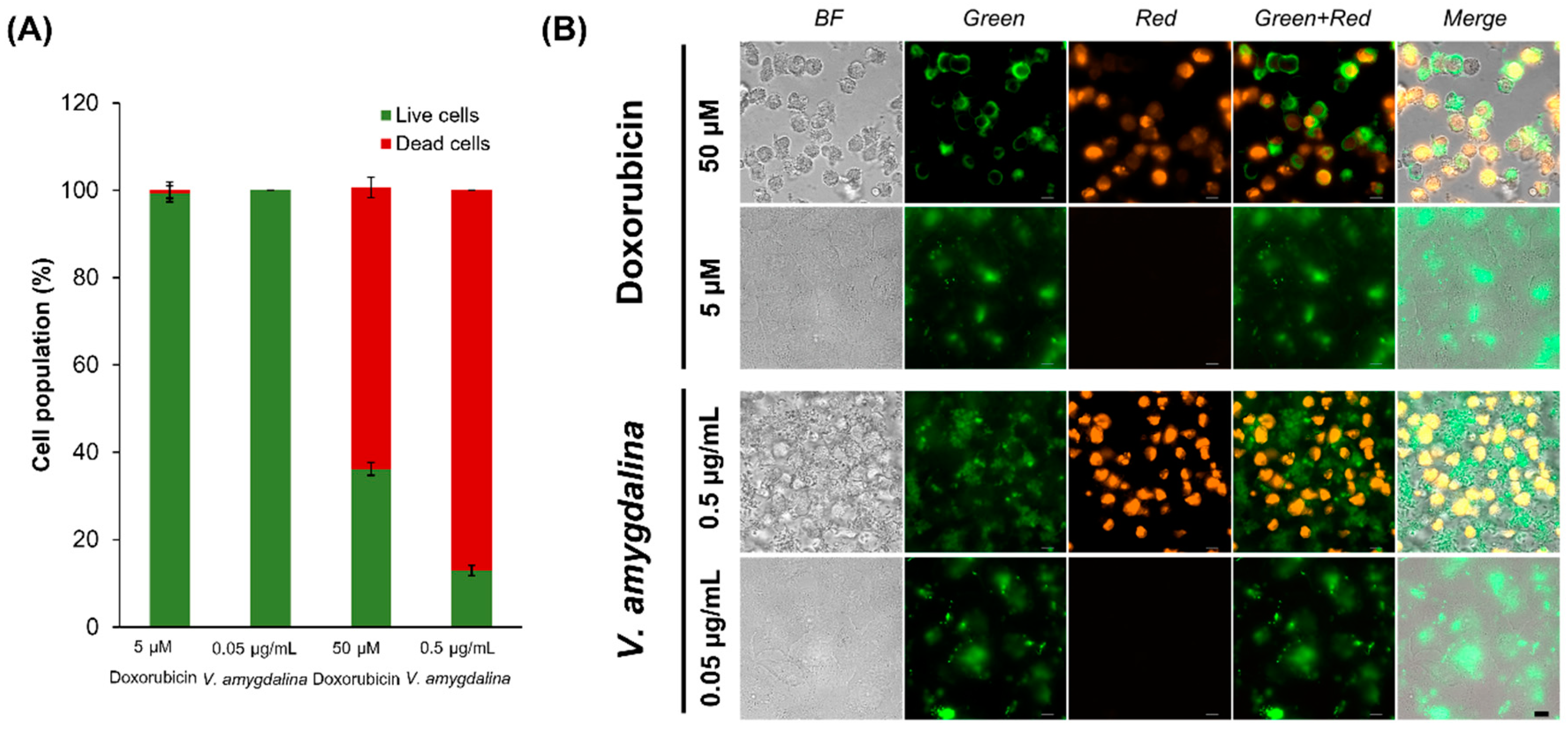 Preprints 113638 g005