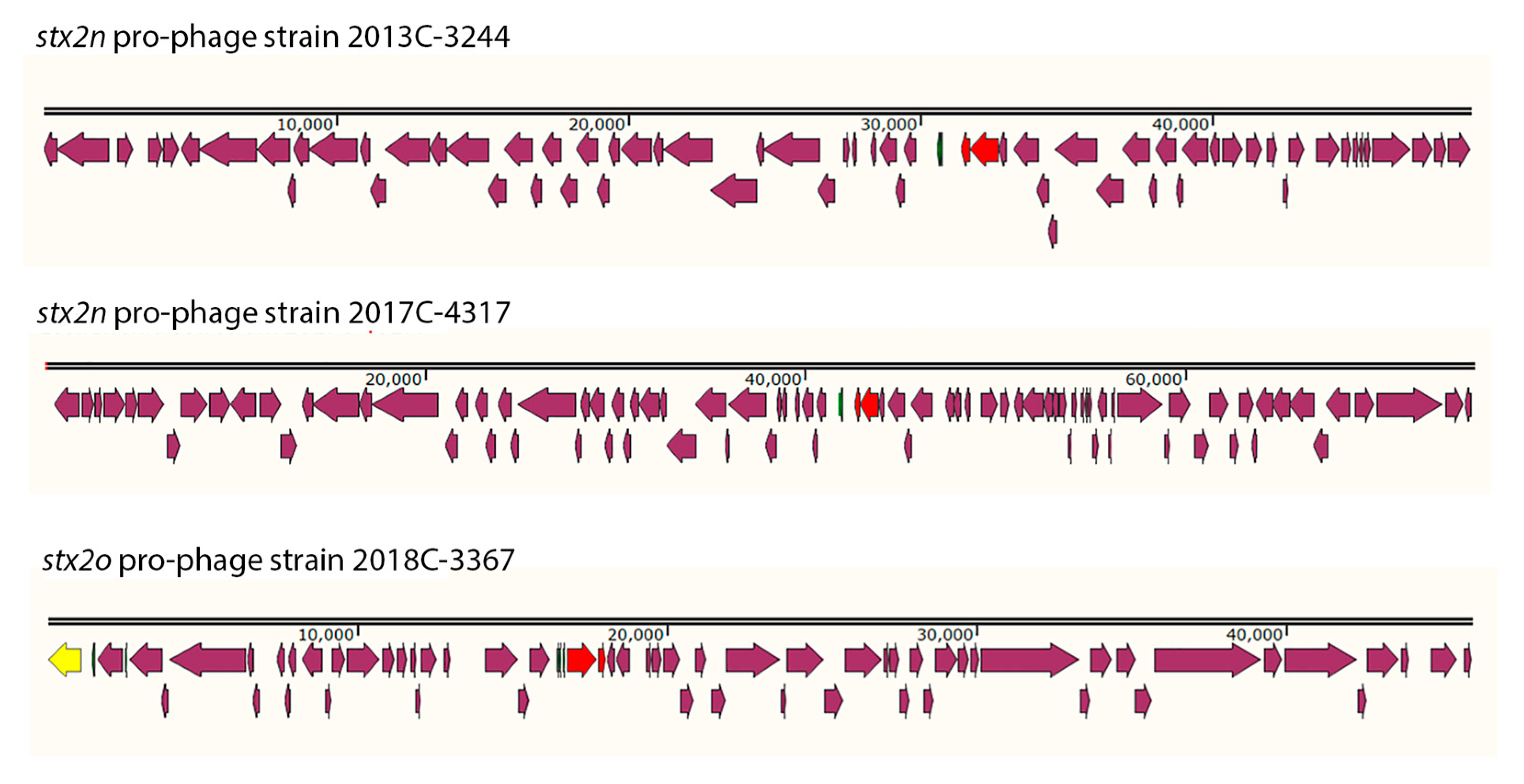 Preprints 85590 g003