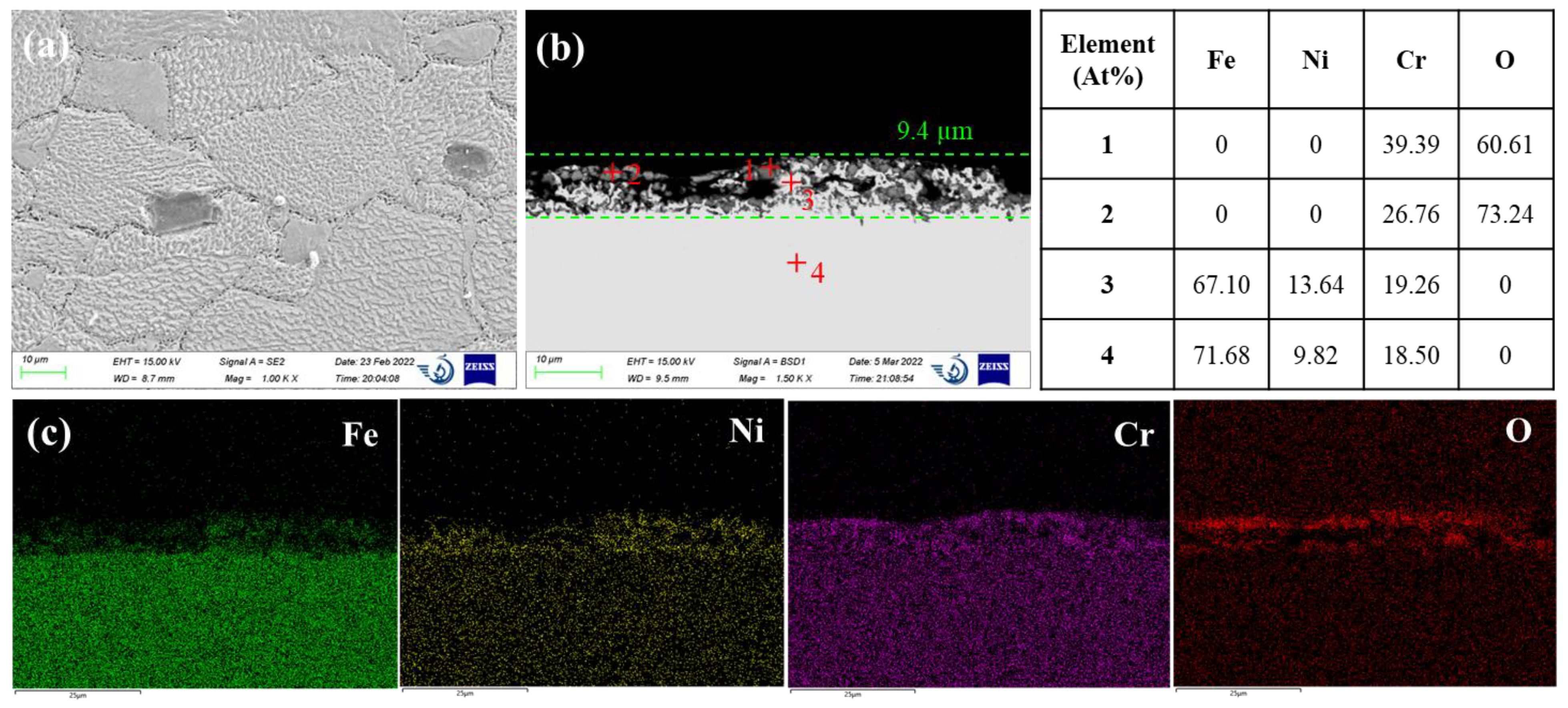 Preprints 70161 g003