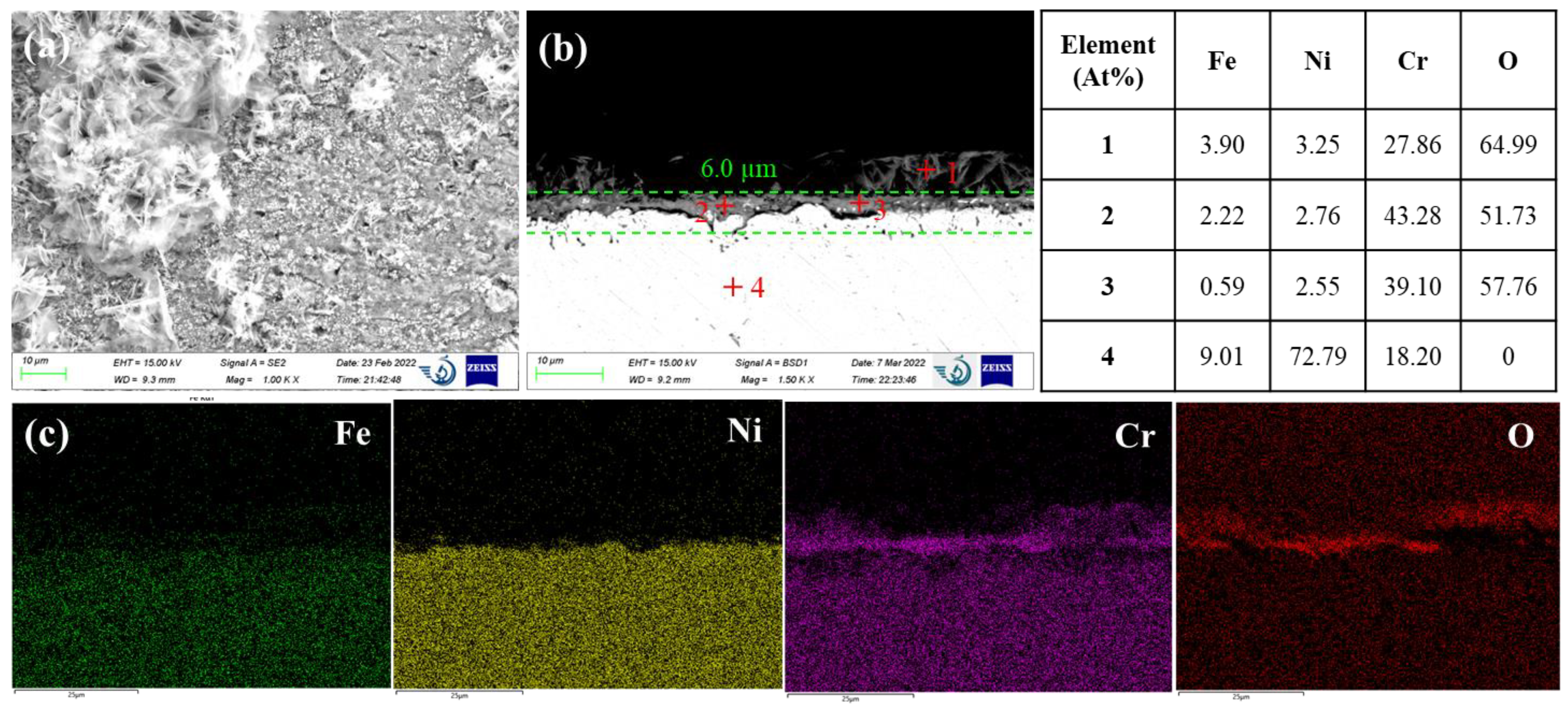 Preprints 70161 g004