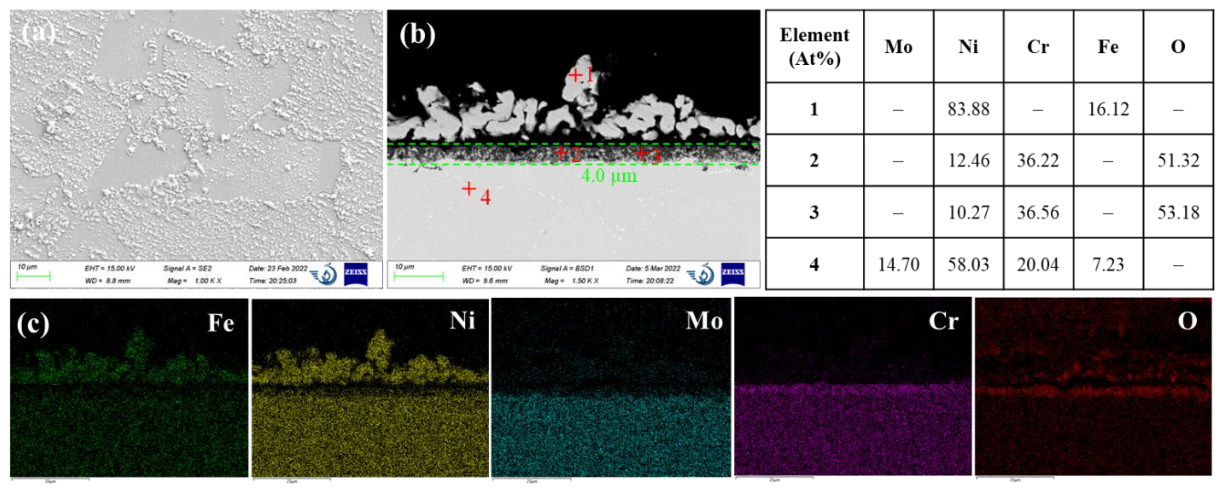 Preprints 70161 g005