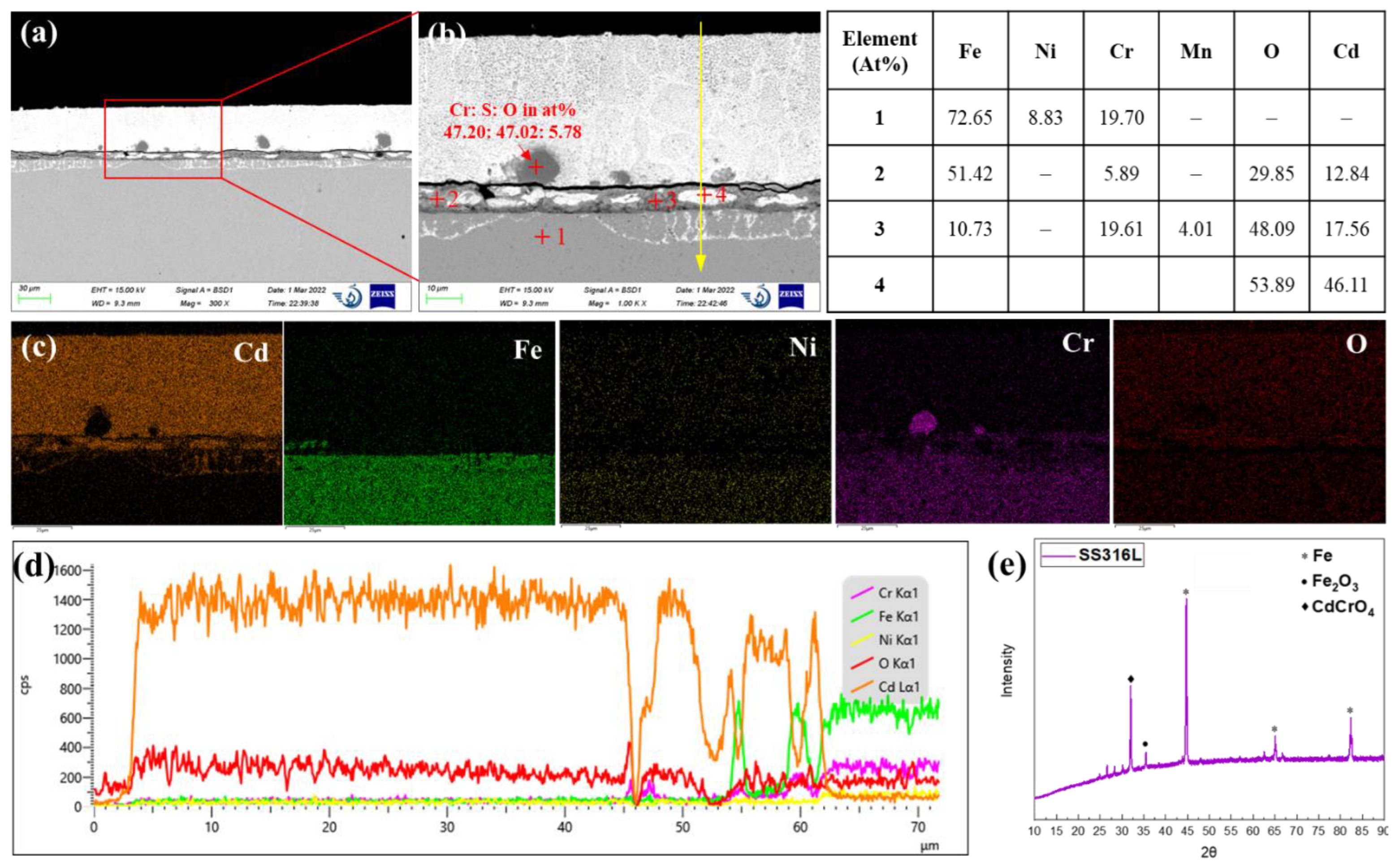 Preprints 70161 g006