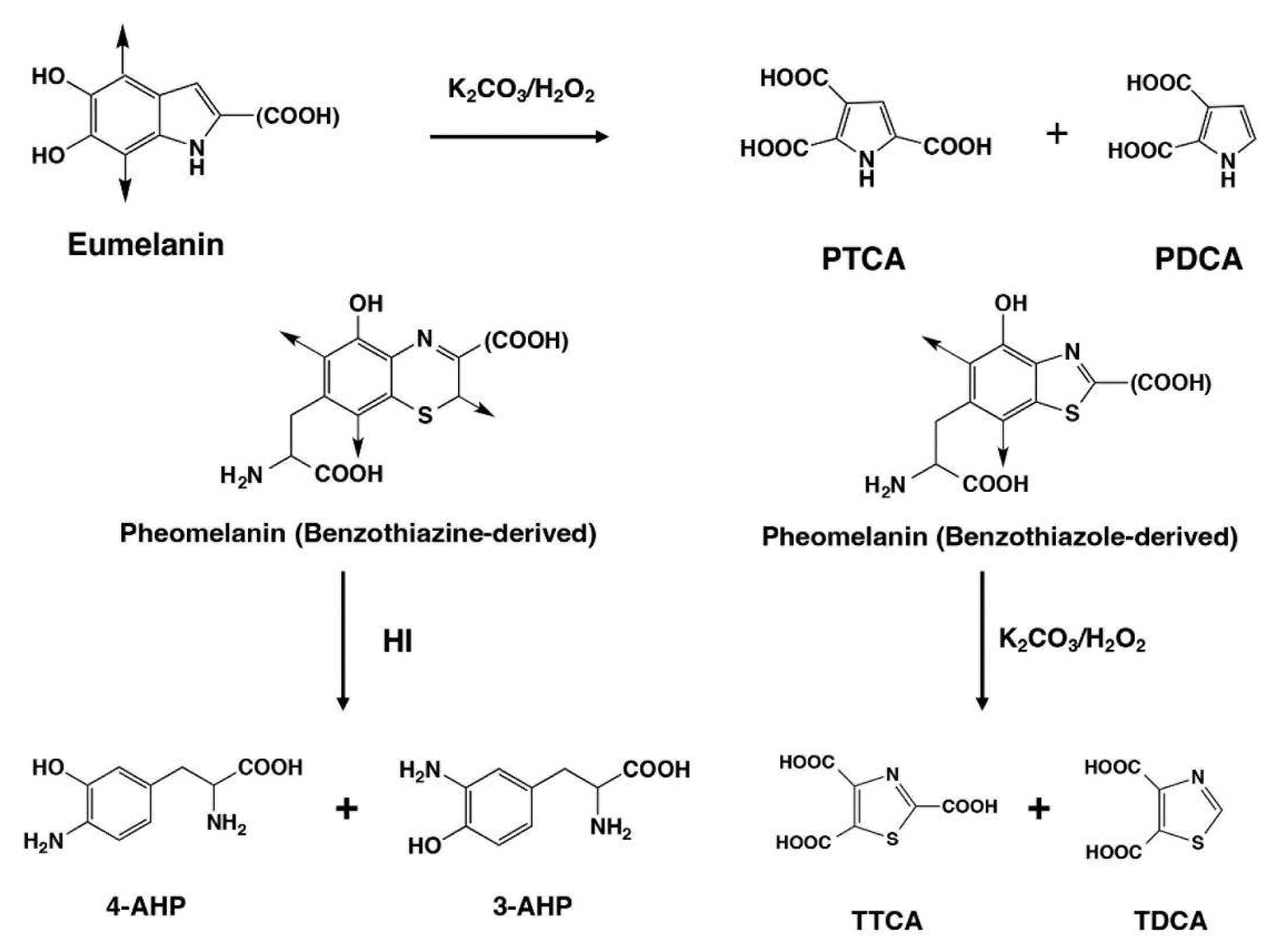 Preprints 88975 g002