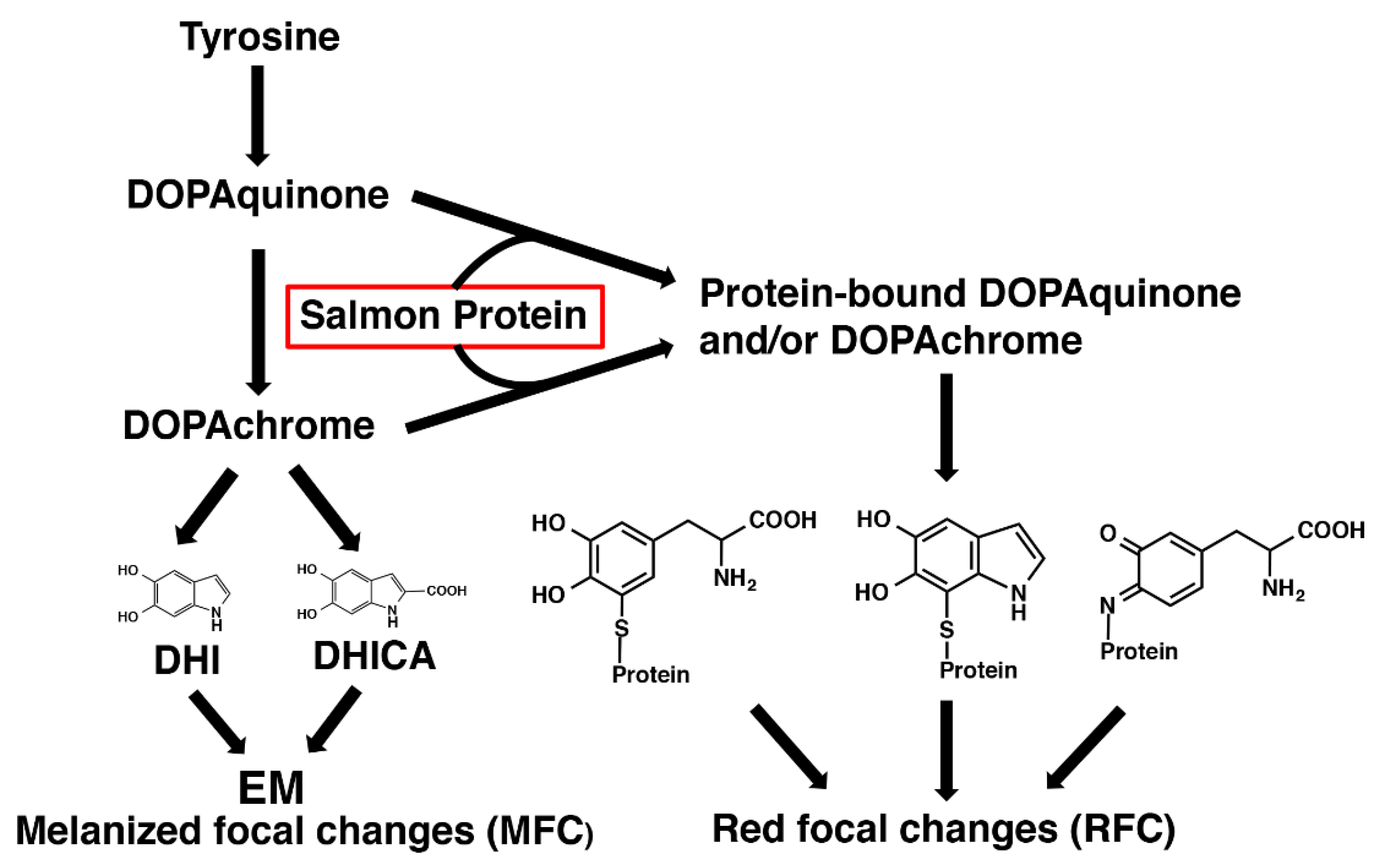 Preprints 88975 g008