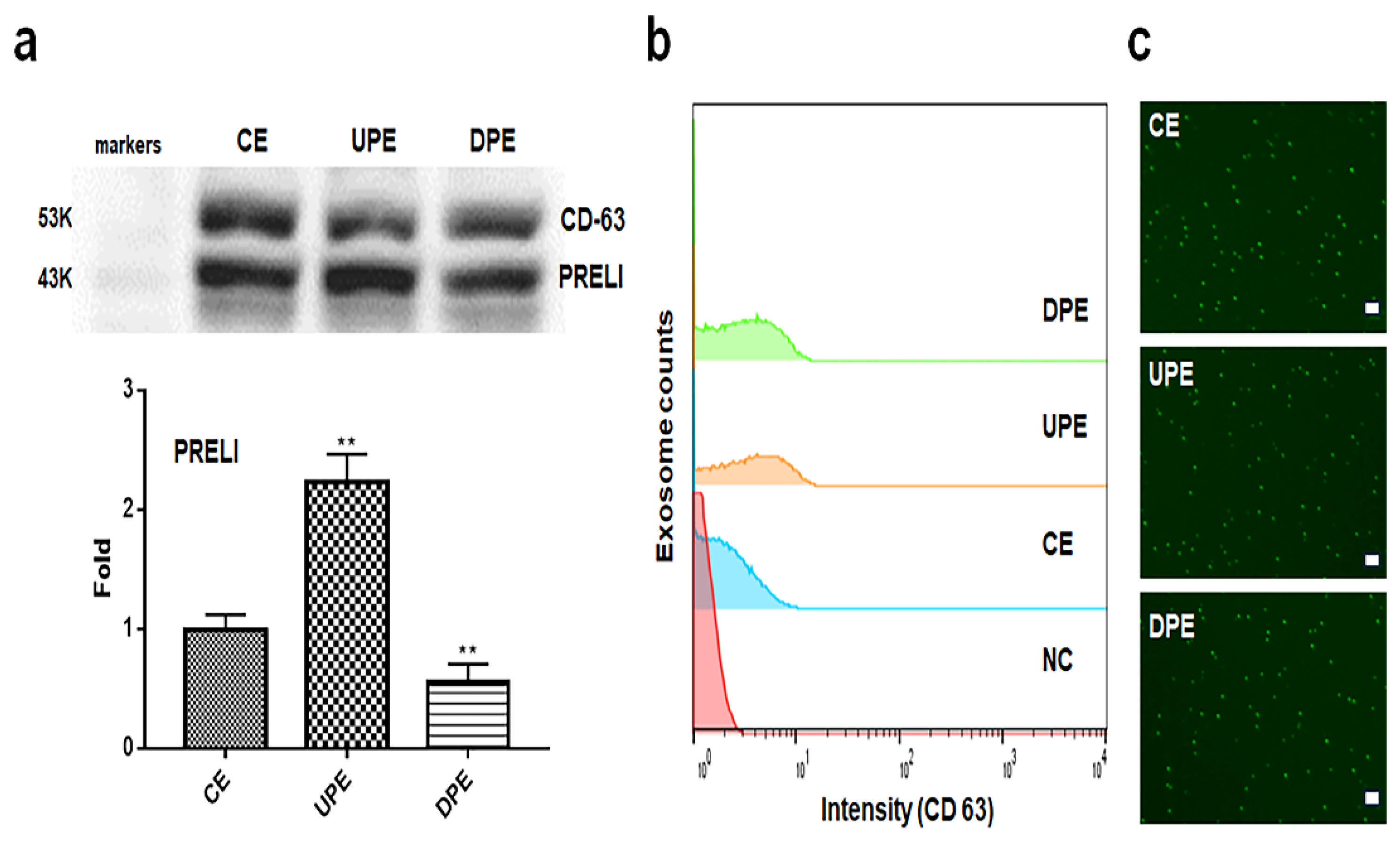 Preprints 119824 g001