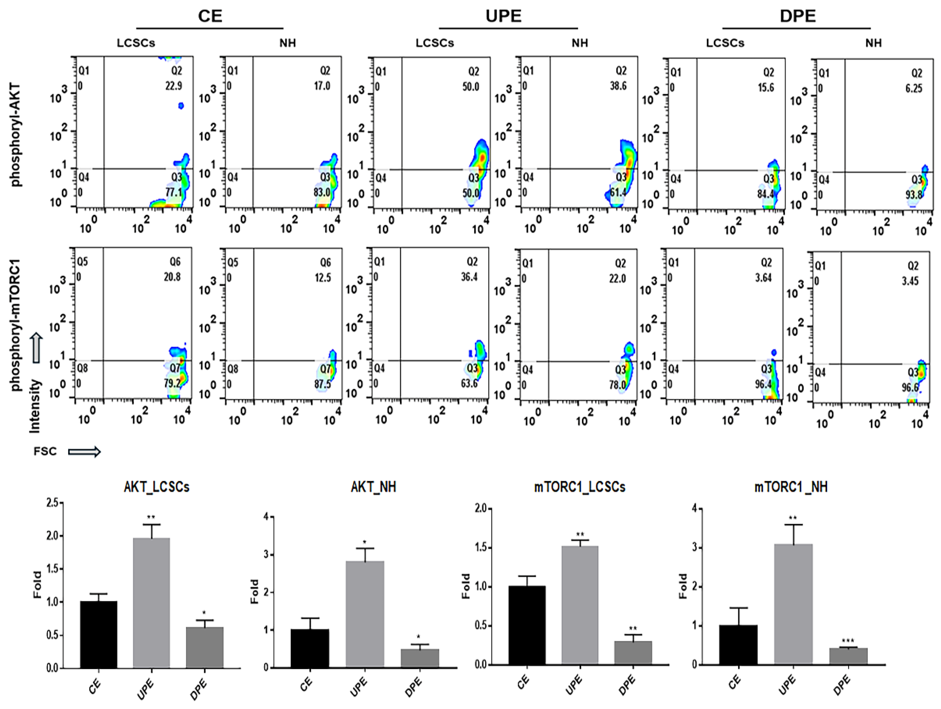 Preprints 119824 g006