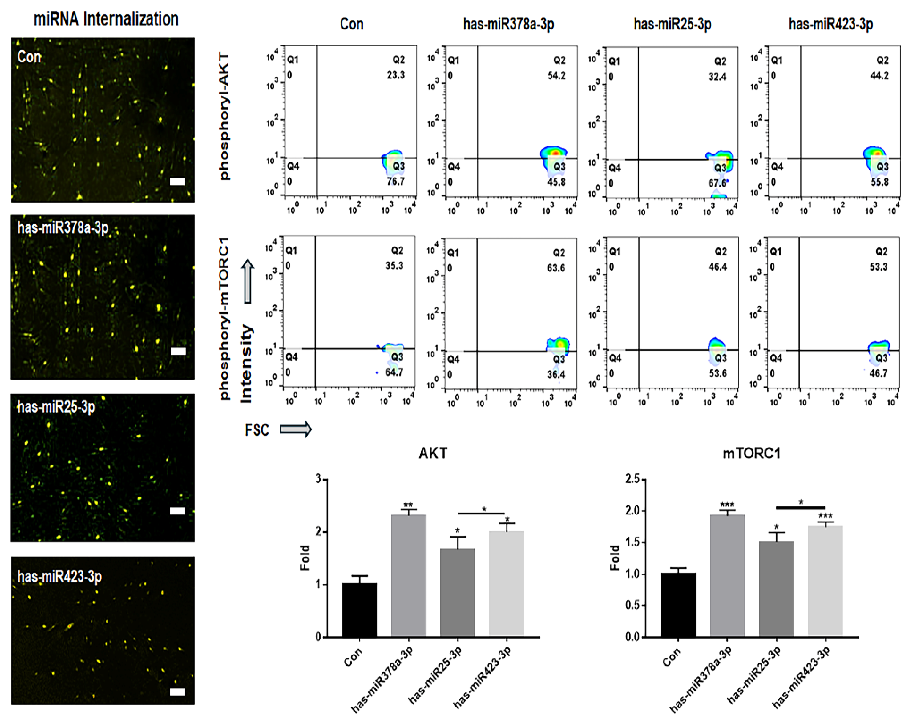 Preprints 119824 g007