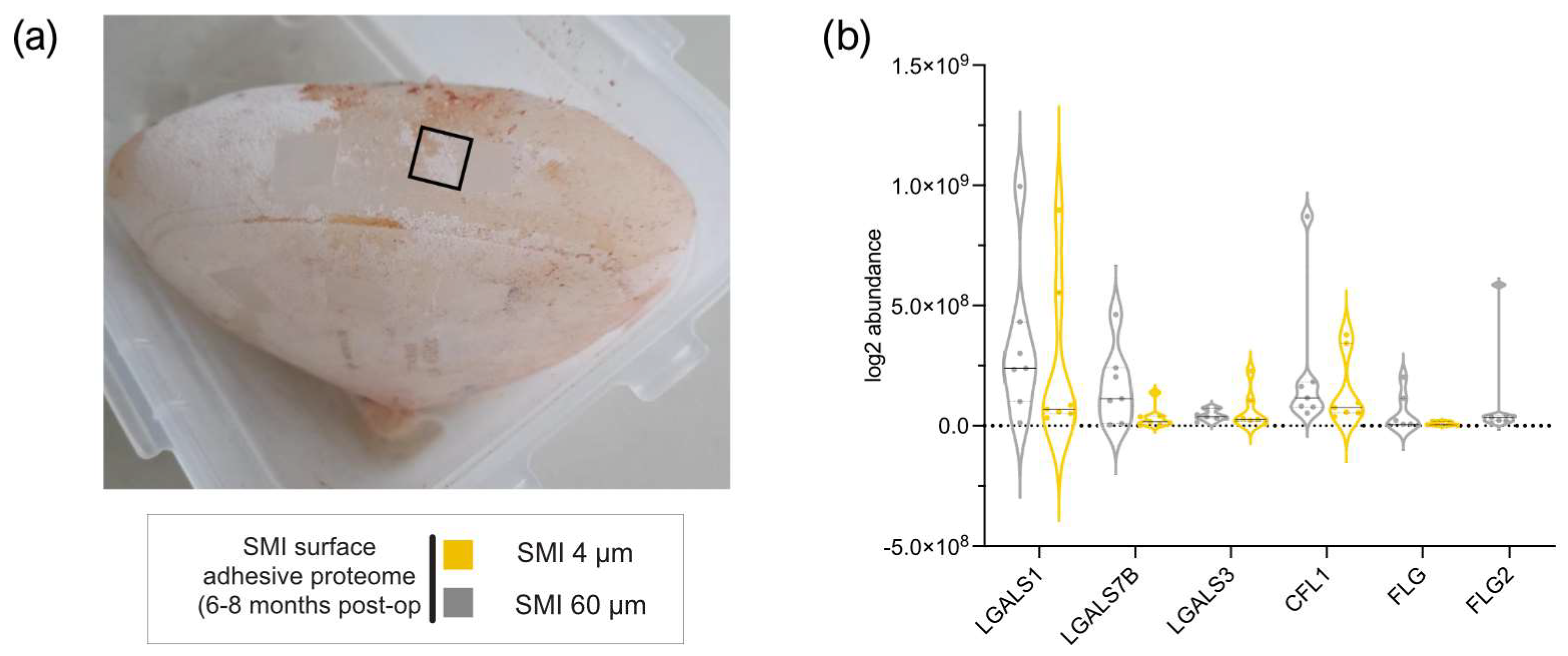 Preprints 97694 g002