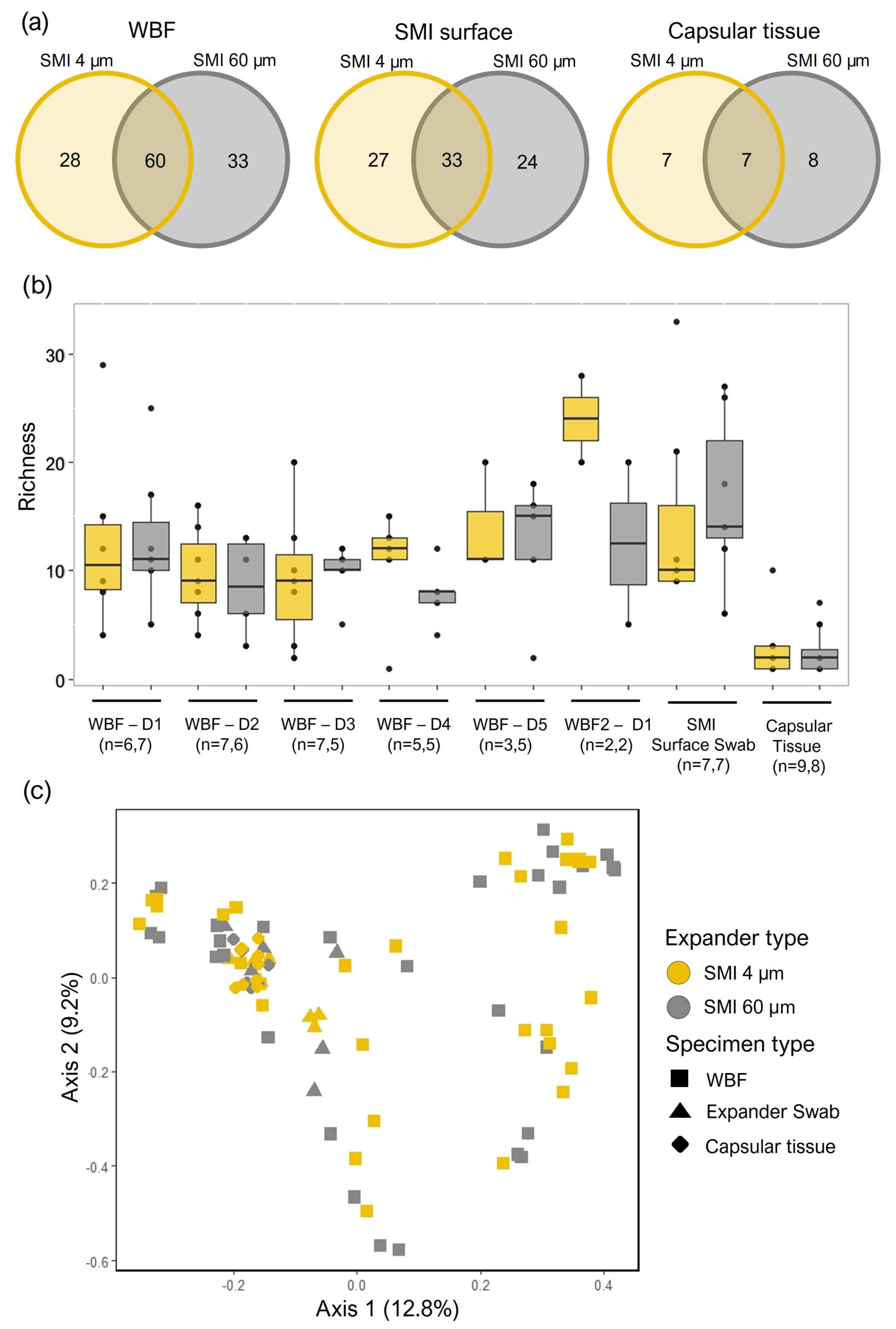 Preprints 97694 g003