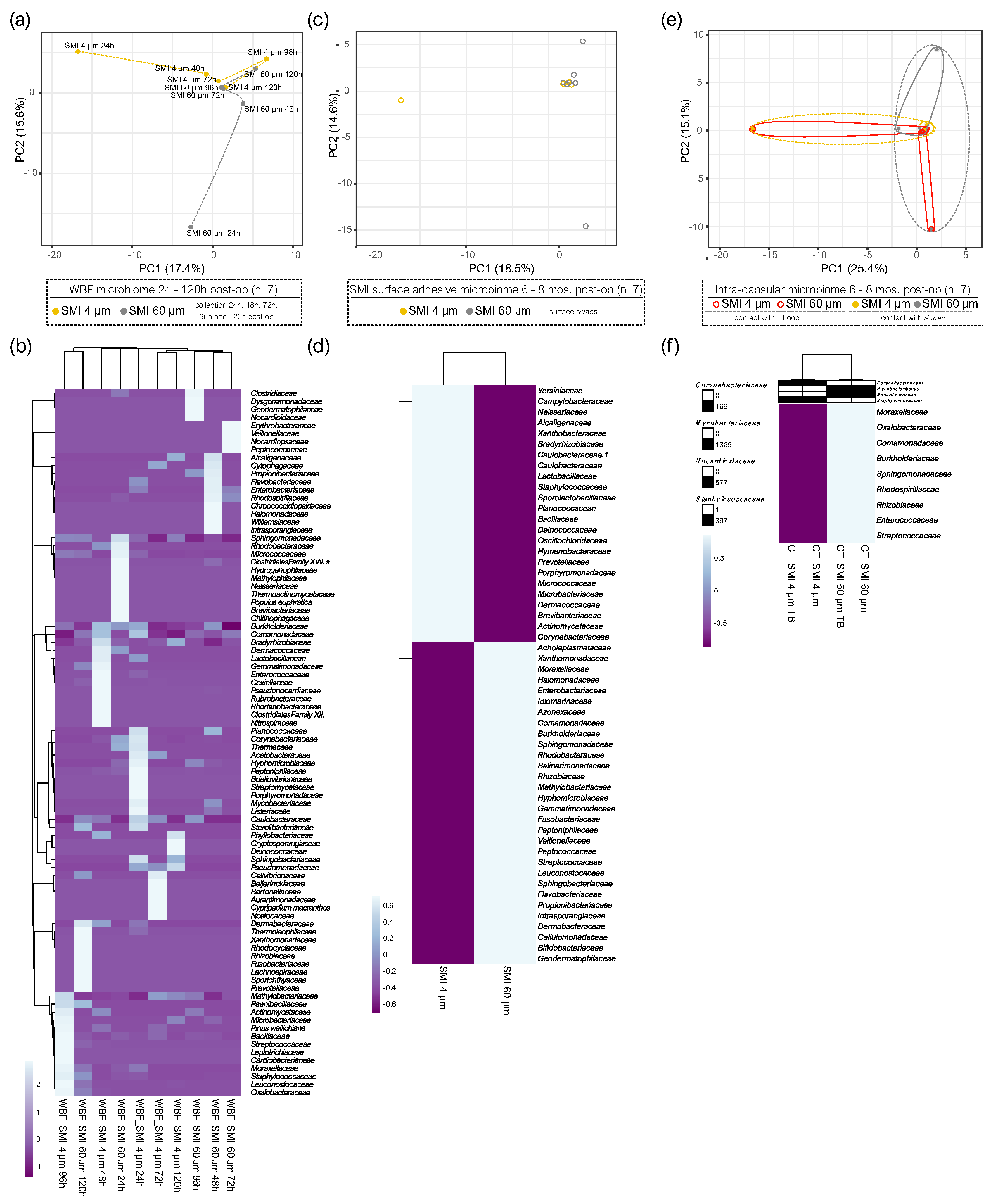 Preprints 97694 g004