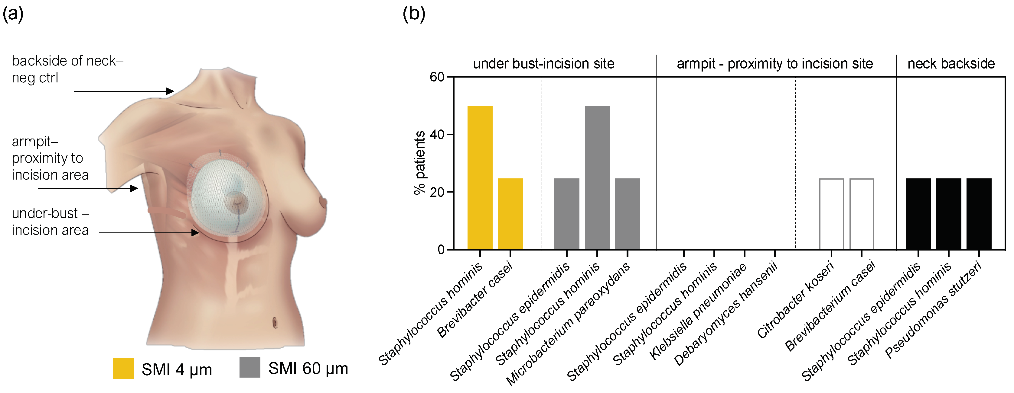 Preprints 97694 g005