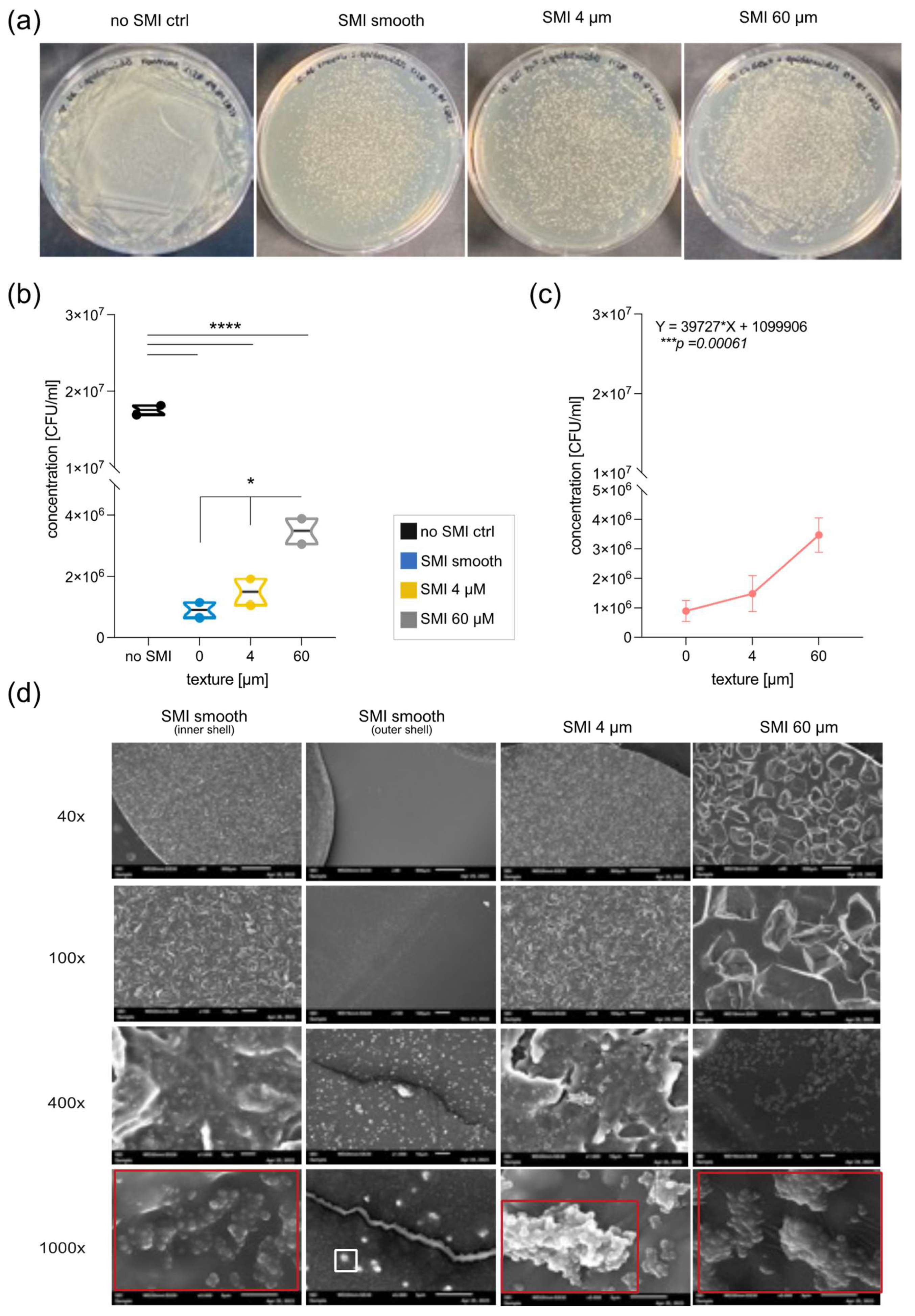 Preprints 97694 g006