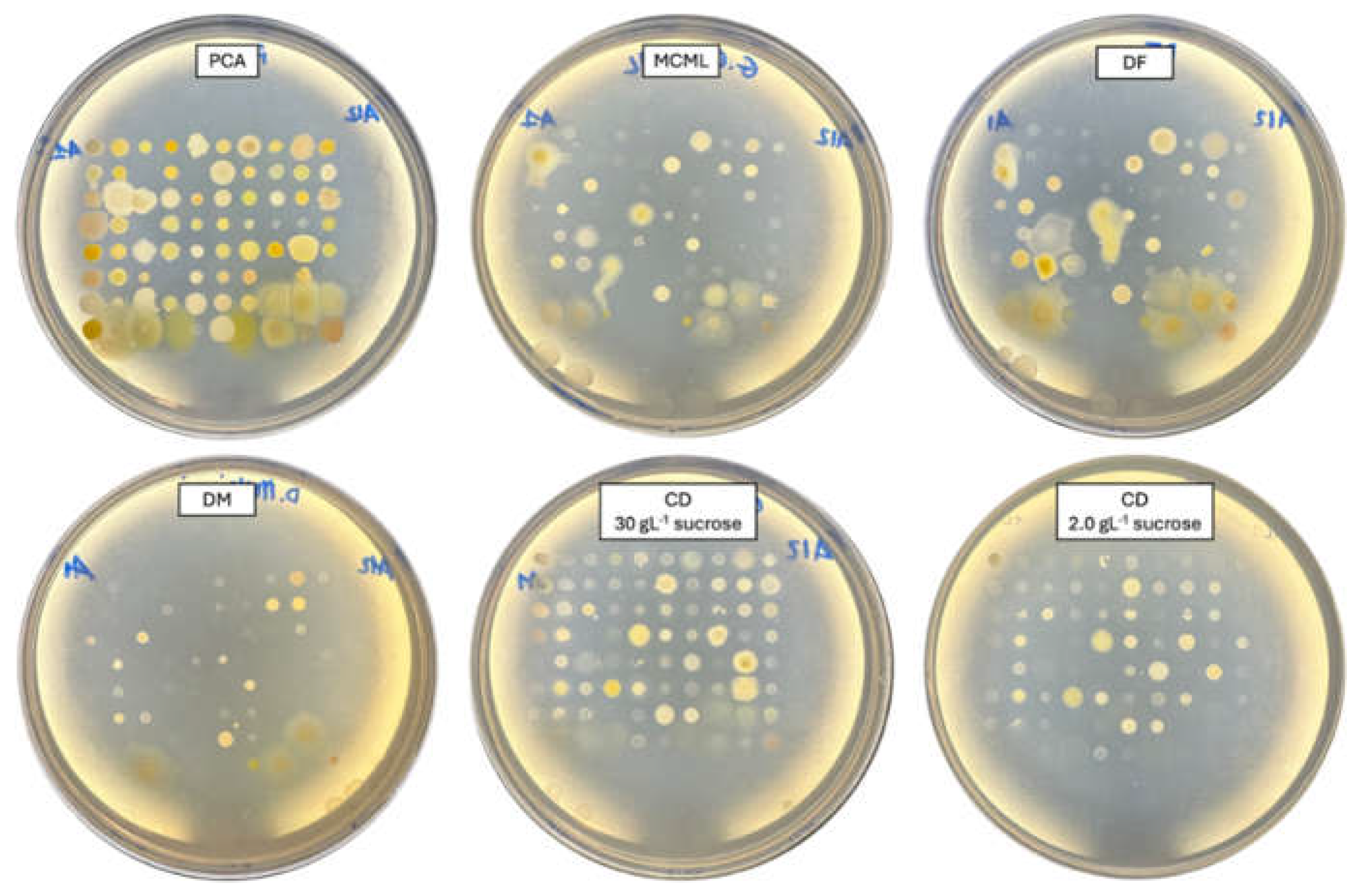 Preprints 110637 g004