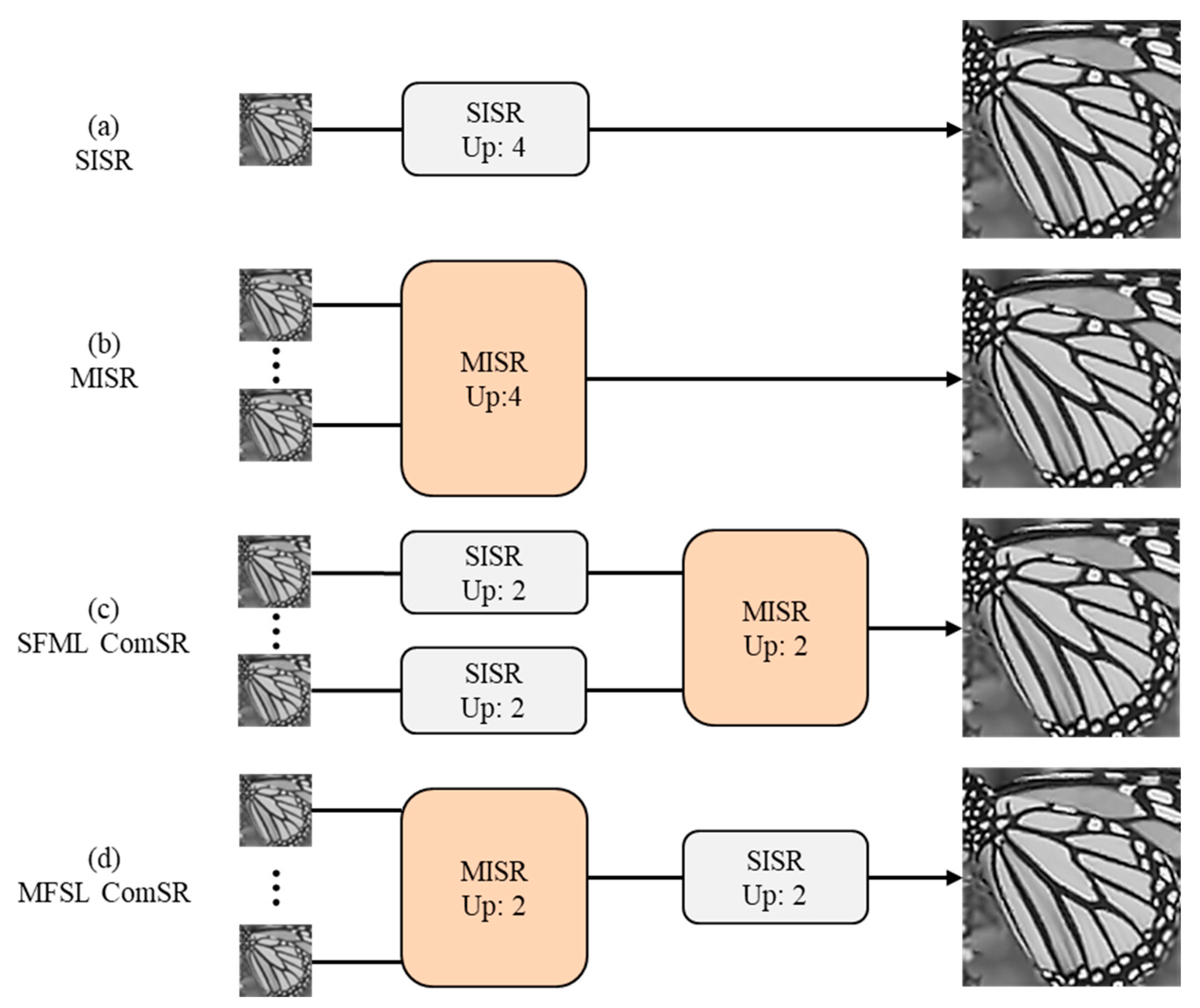 Preprints 115276 g001