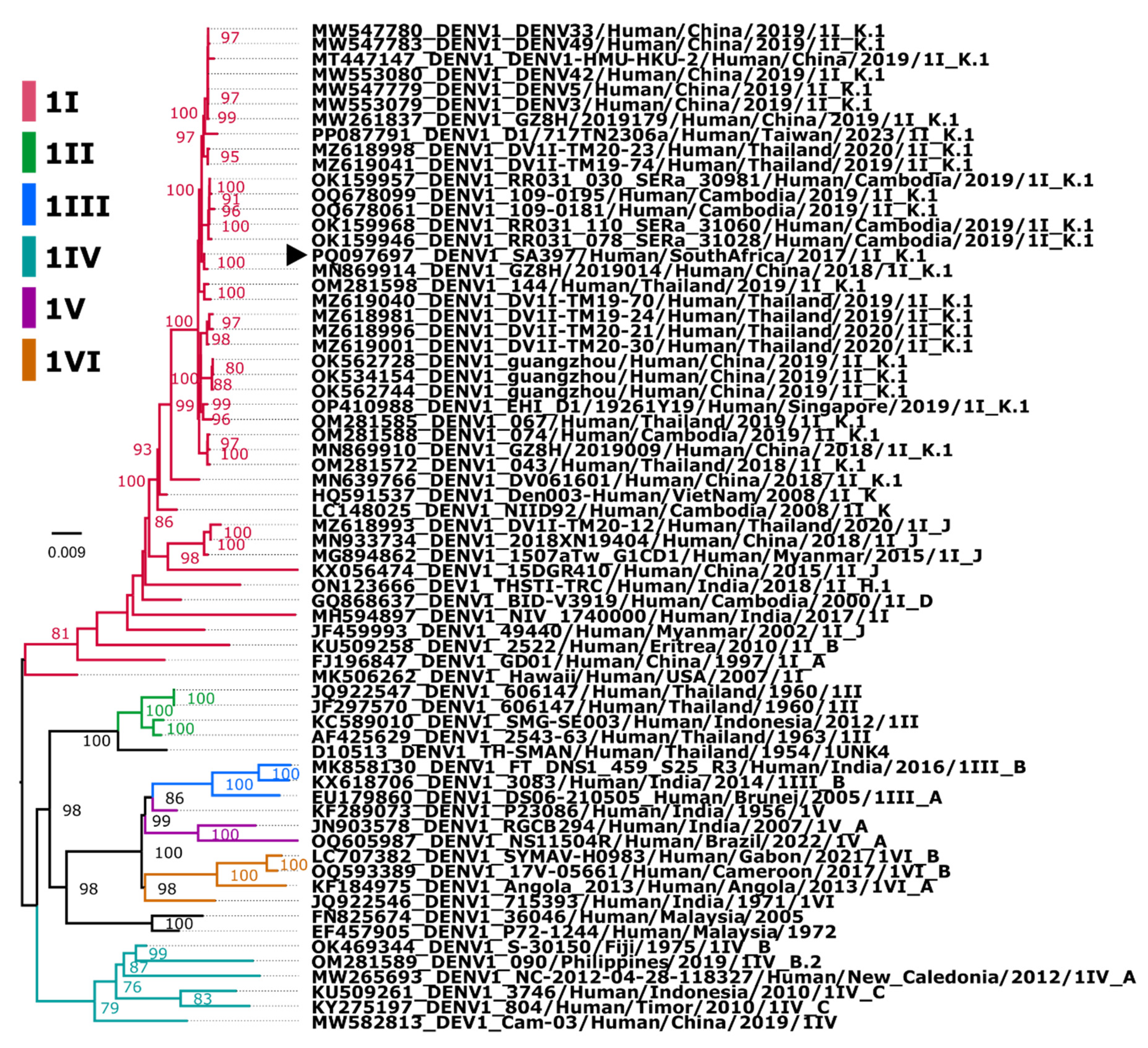 Preprints 113874 g001