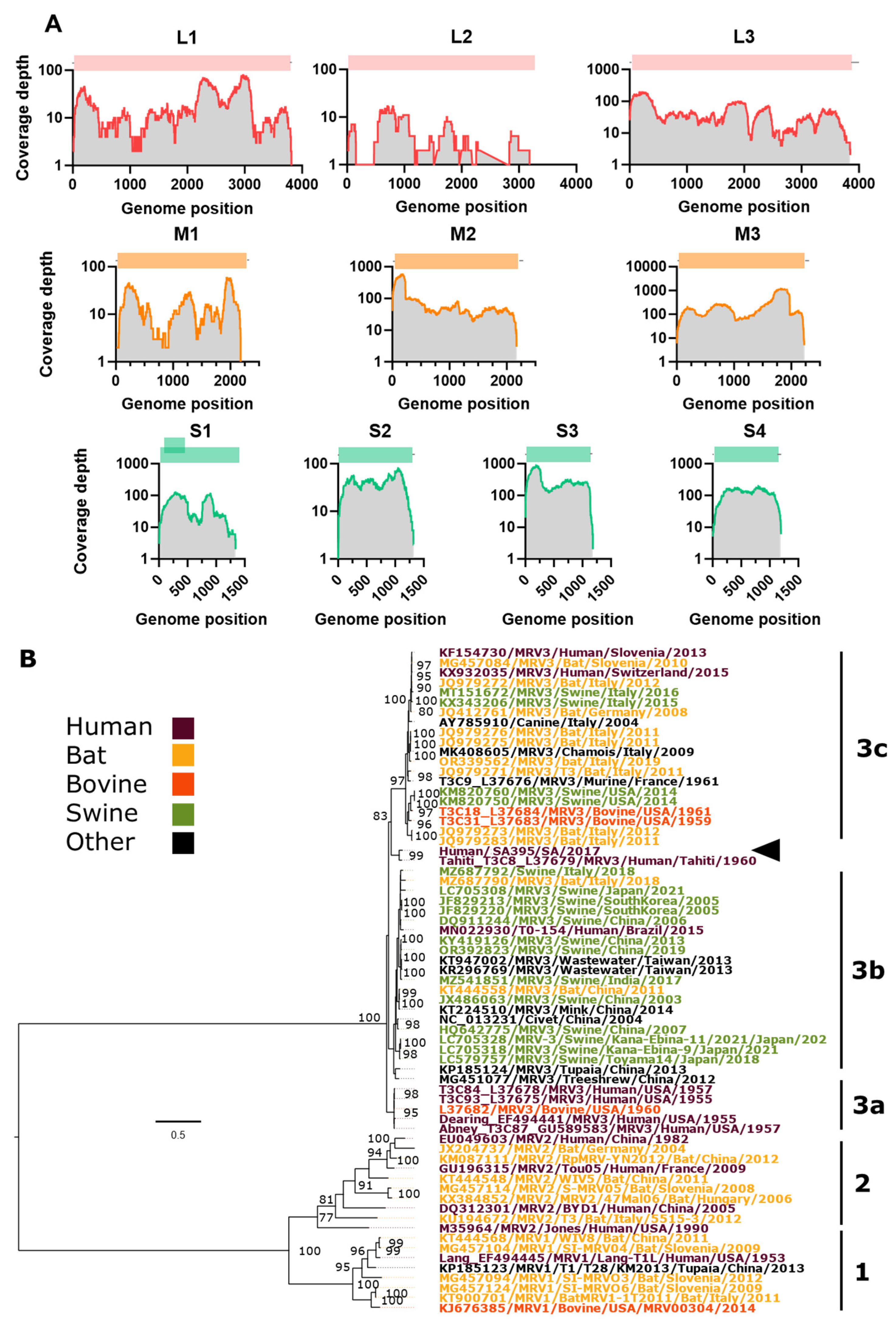 Preprints 113874 g002