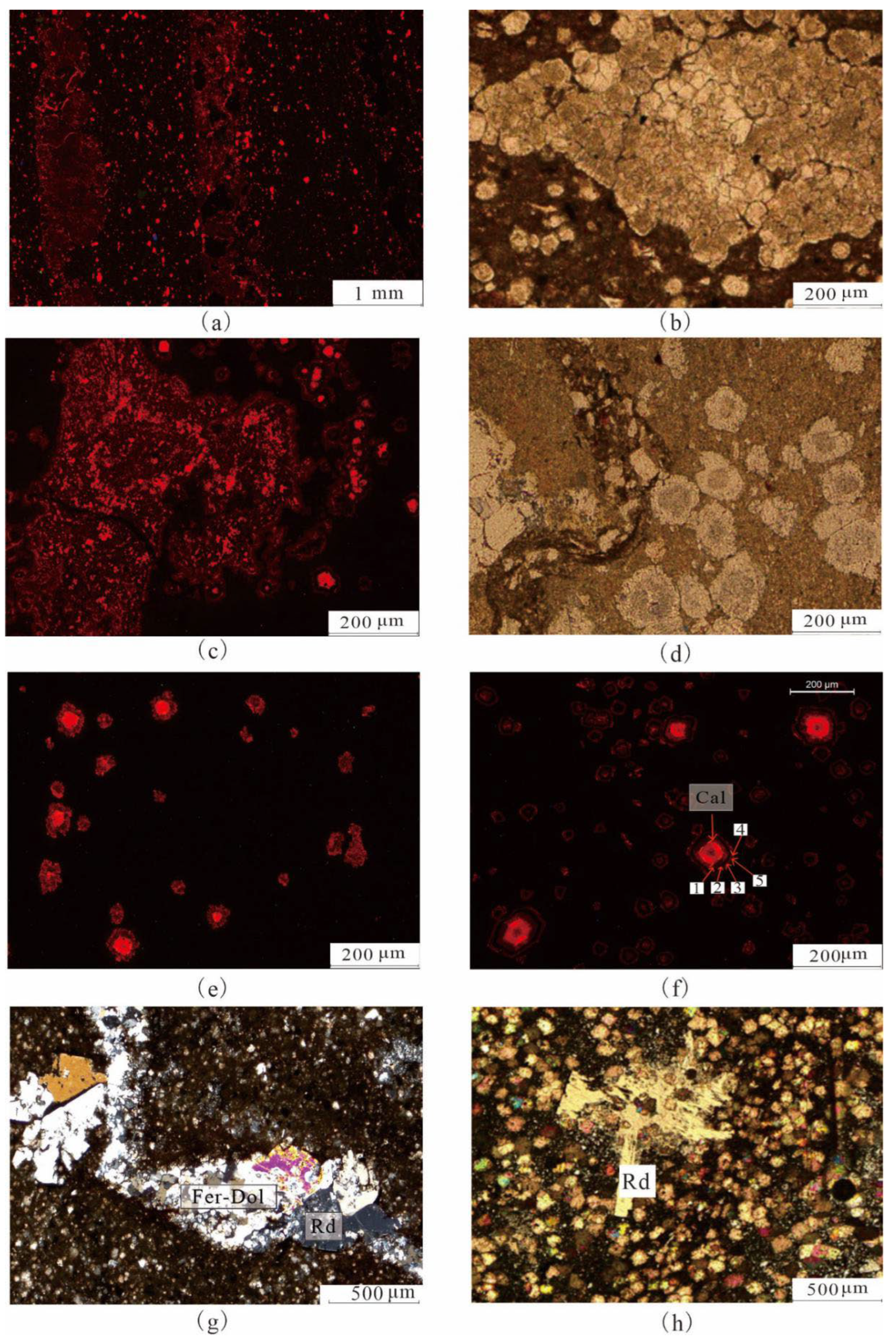 Preprints 88211 g002