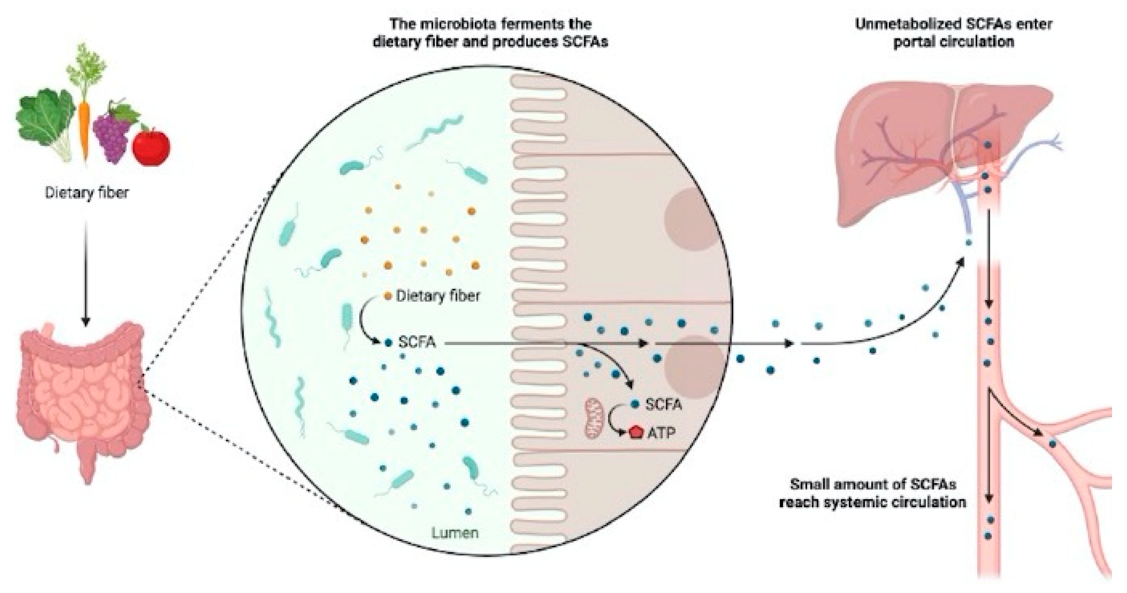 Preprints 84170 g001