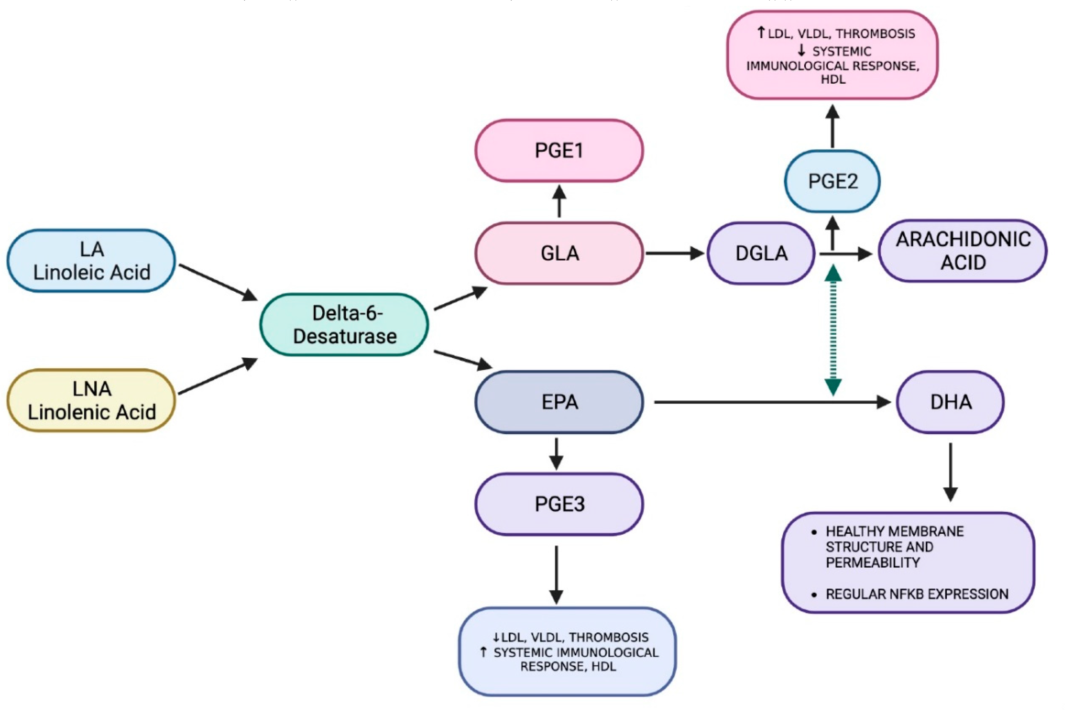 Preprints 84170 g009