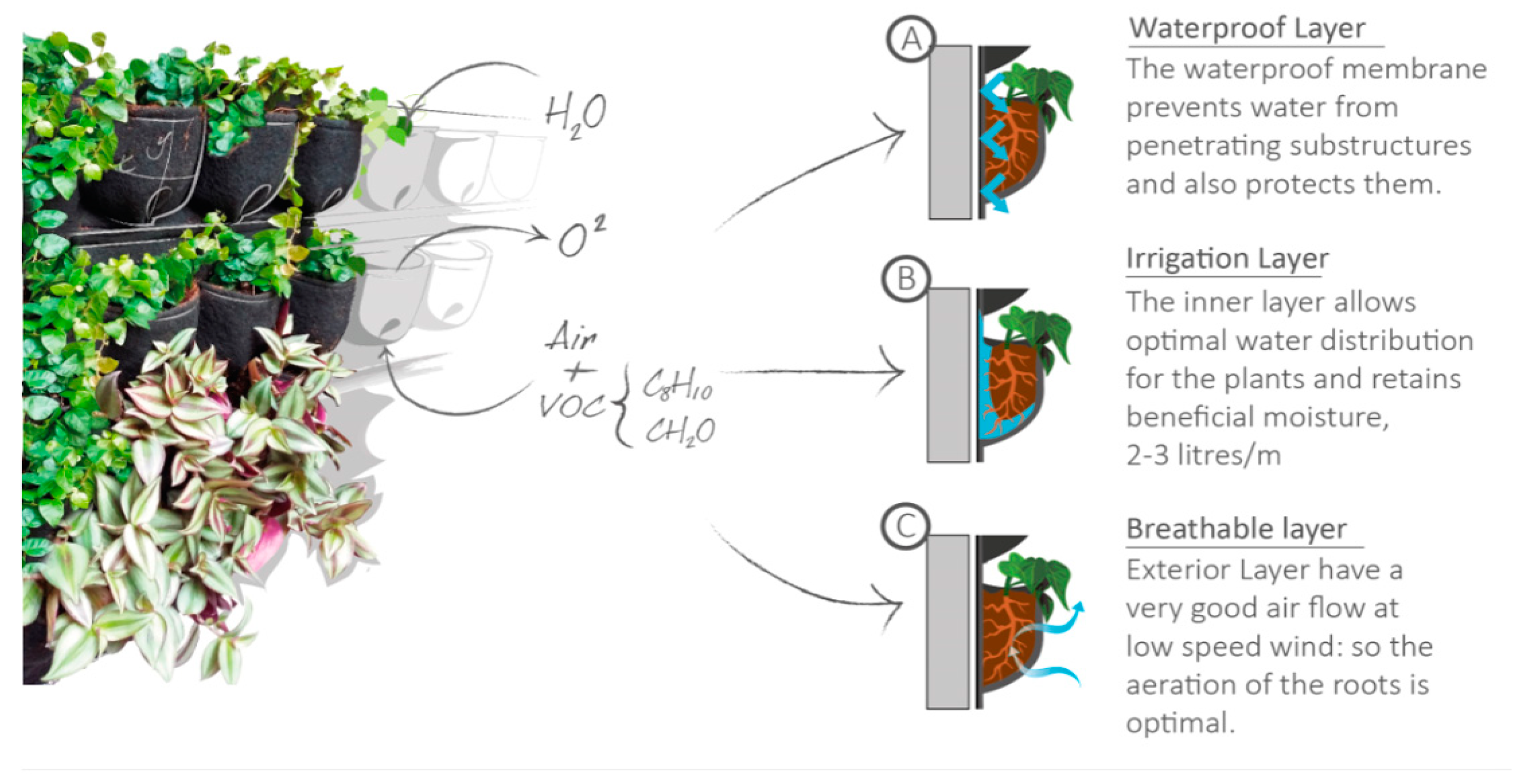 Preprints 81970 g005