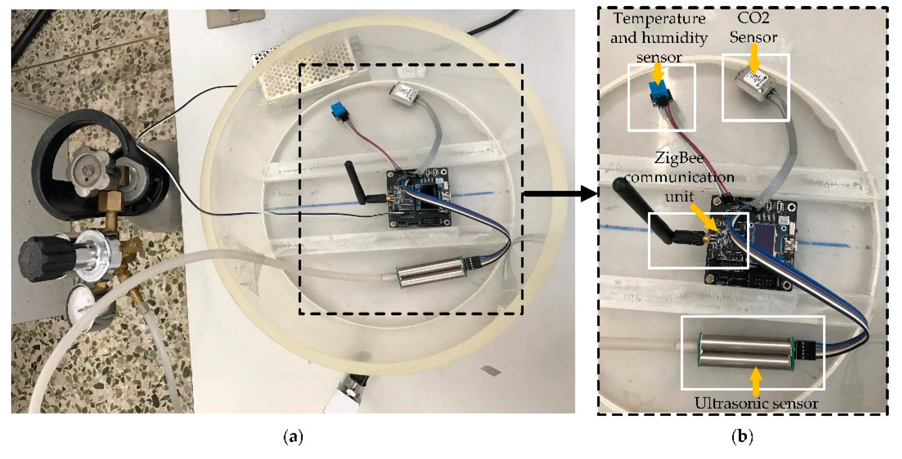 Preprints 72158 g005