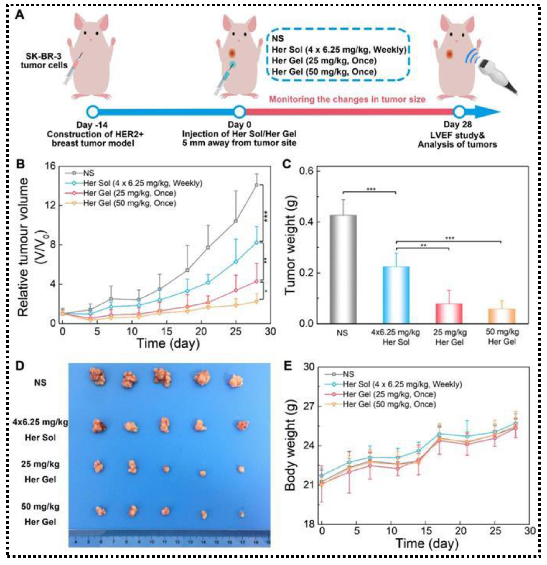 Preprints 109222 g006