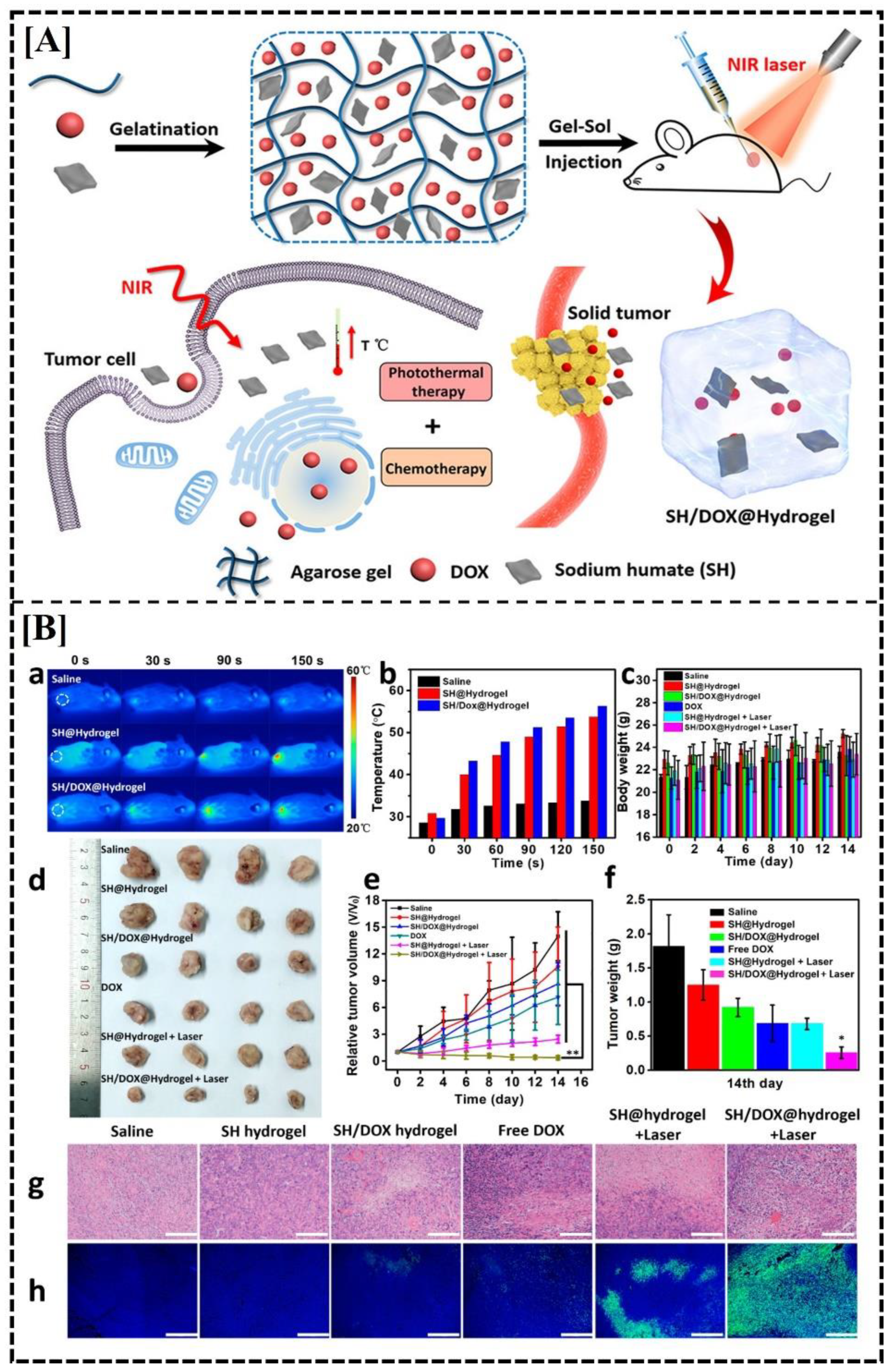 Preprints 109222 g007