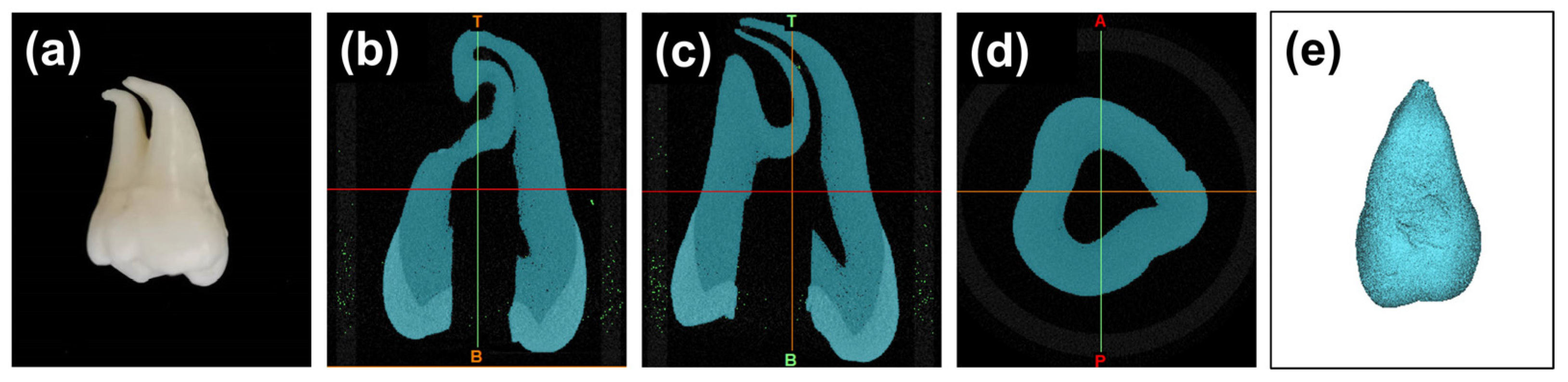 Preprints 81373 g001