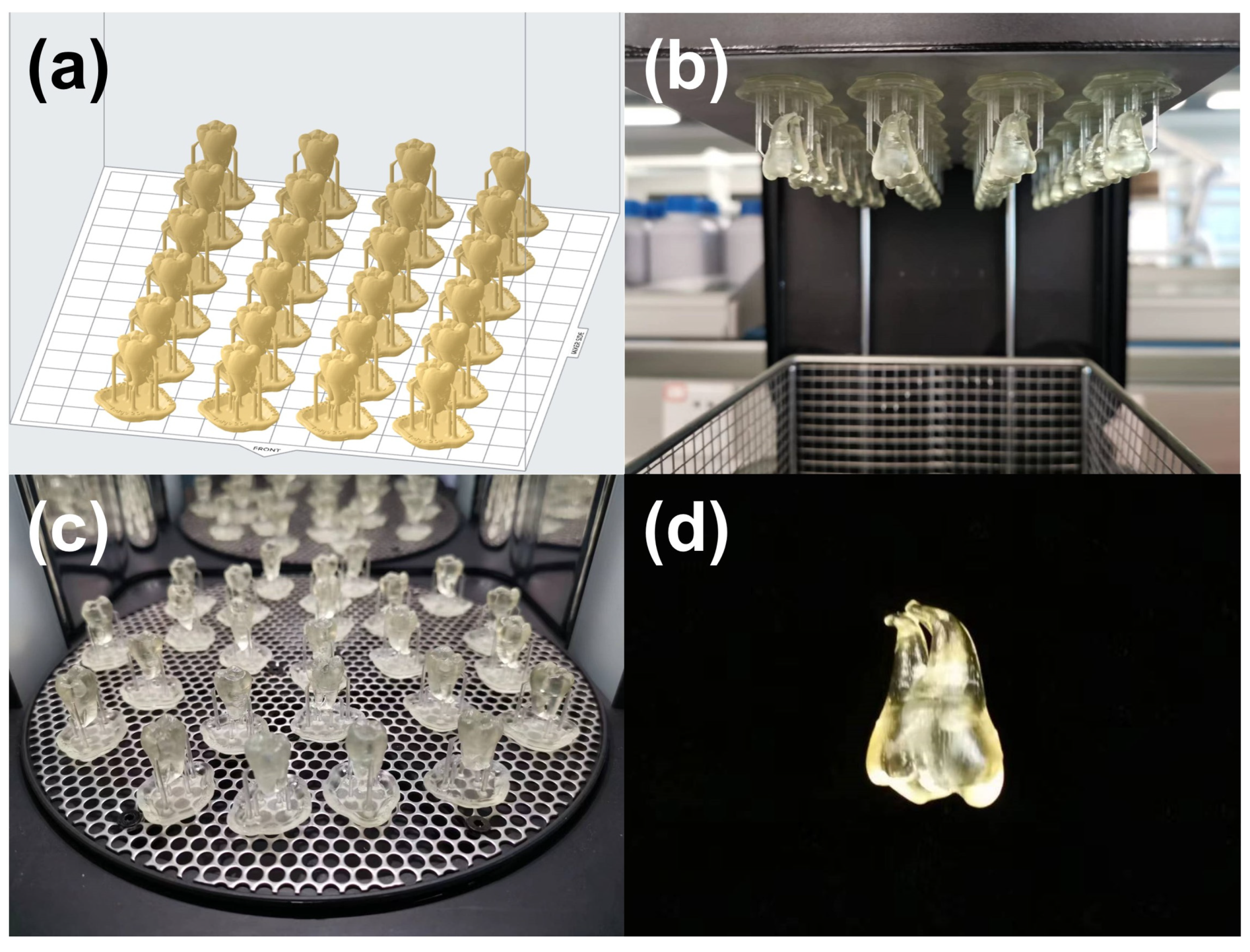 Preprints 81373 g004