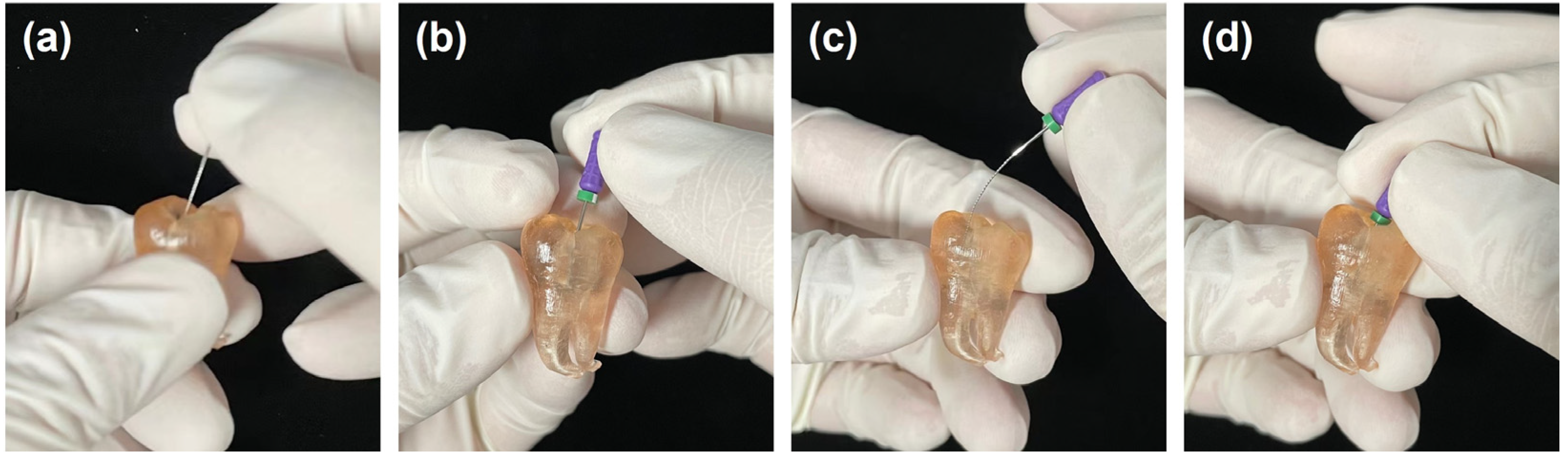 Preprints 81373 g005