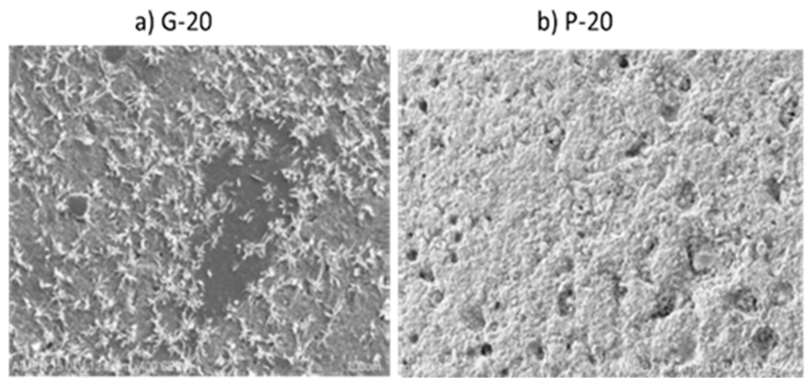 Preprints 90930 g002