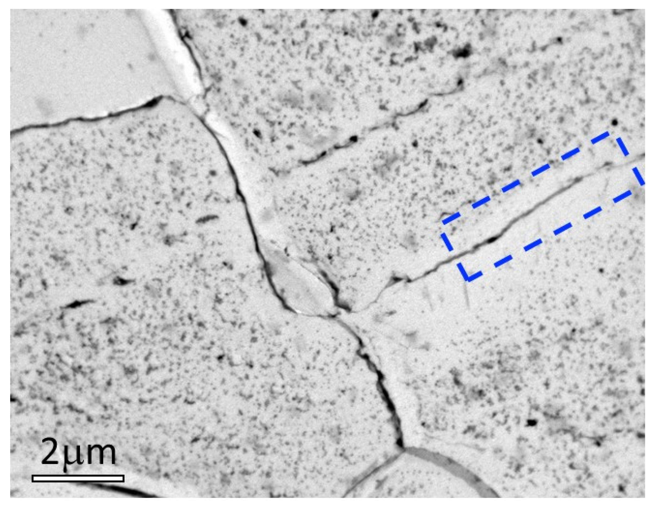 Preprints 99702 g007