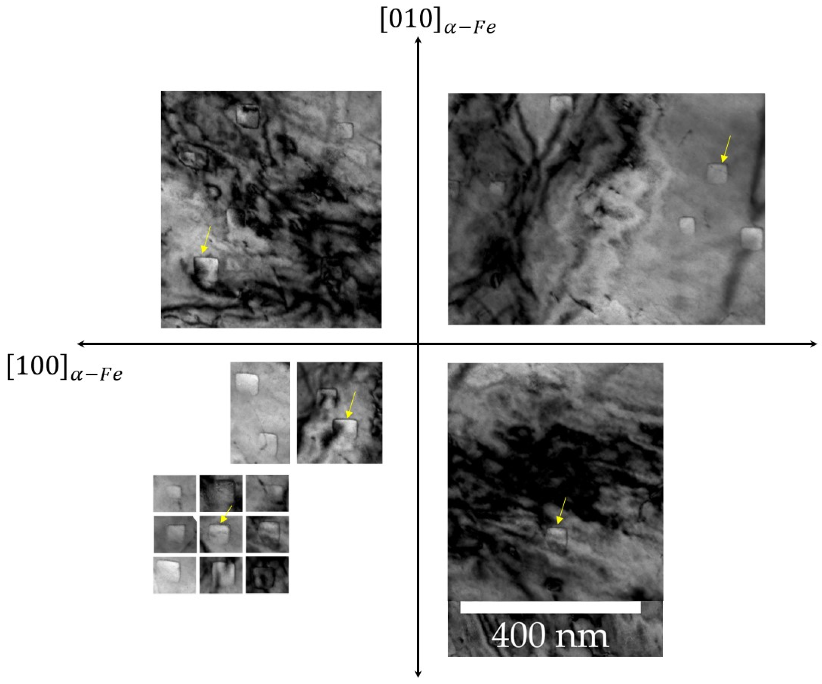 Preprints 99702 g009