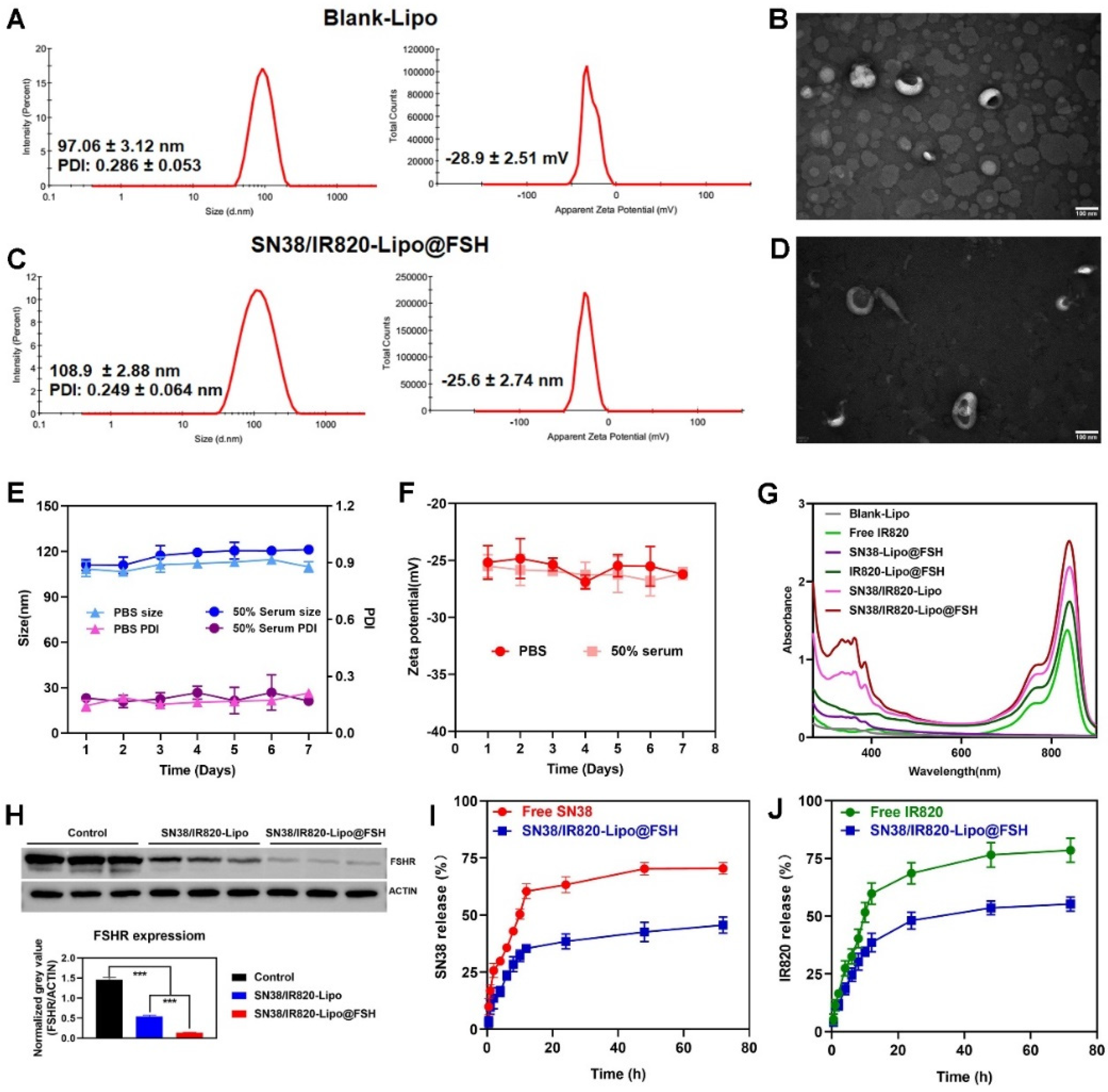 Preprints 98197 g003