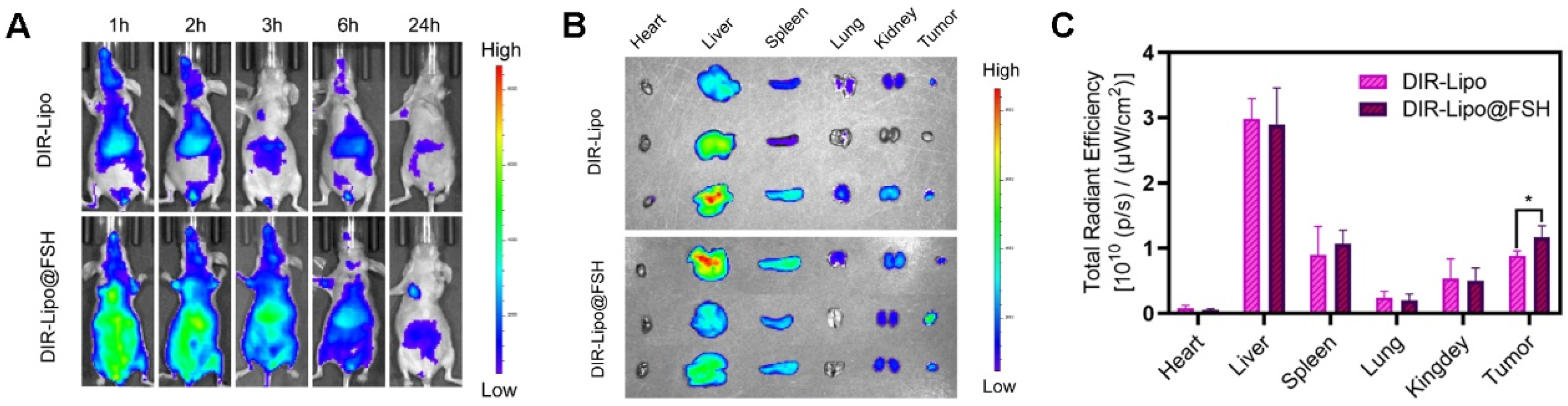 Preprints 98197 g006