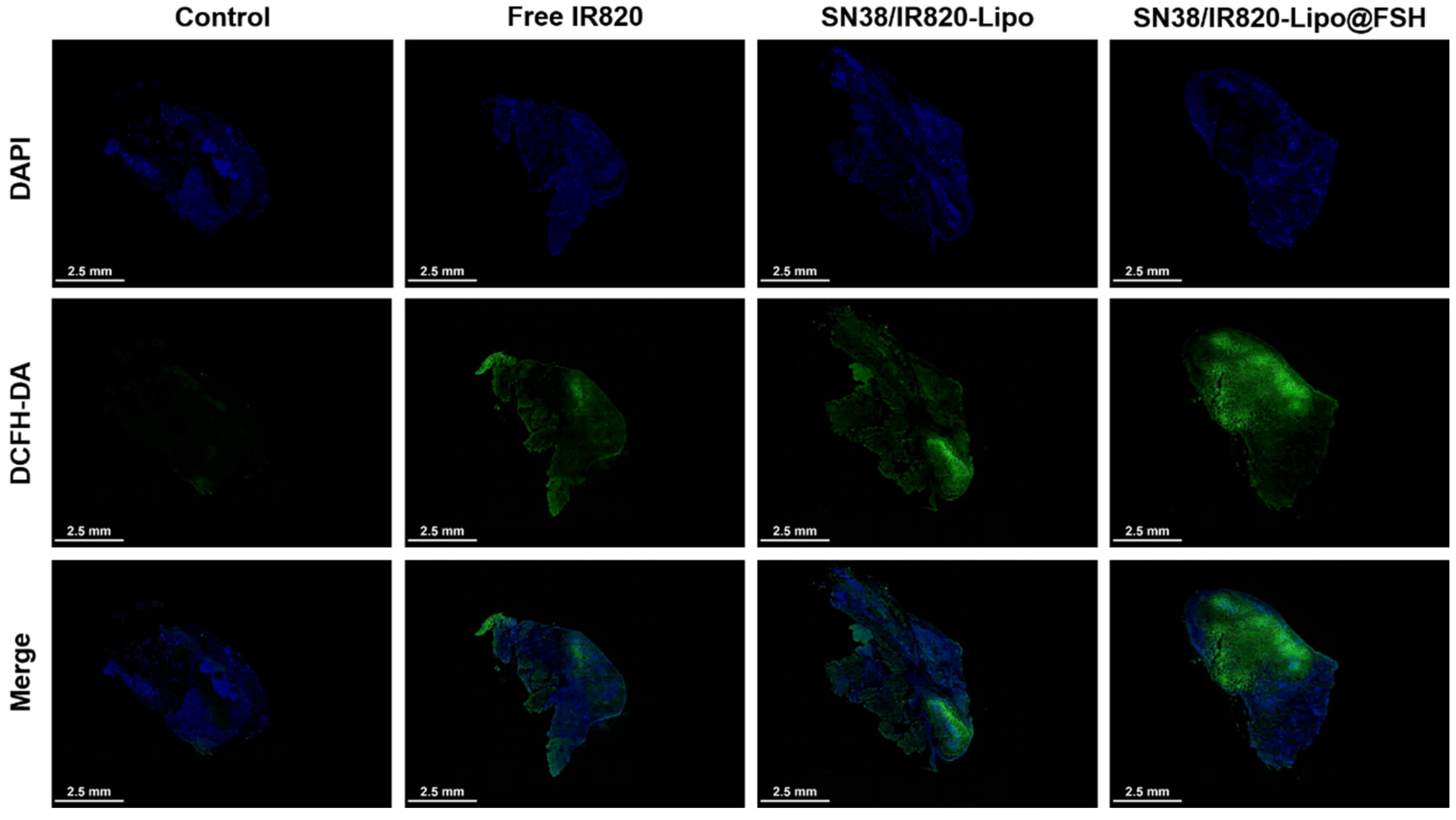 Preprints 98197 g007