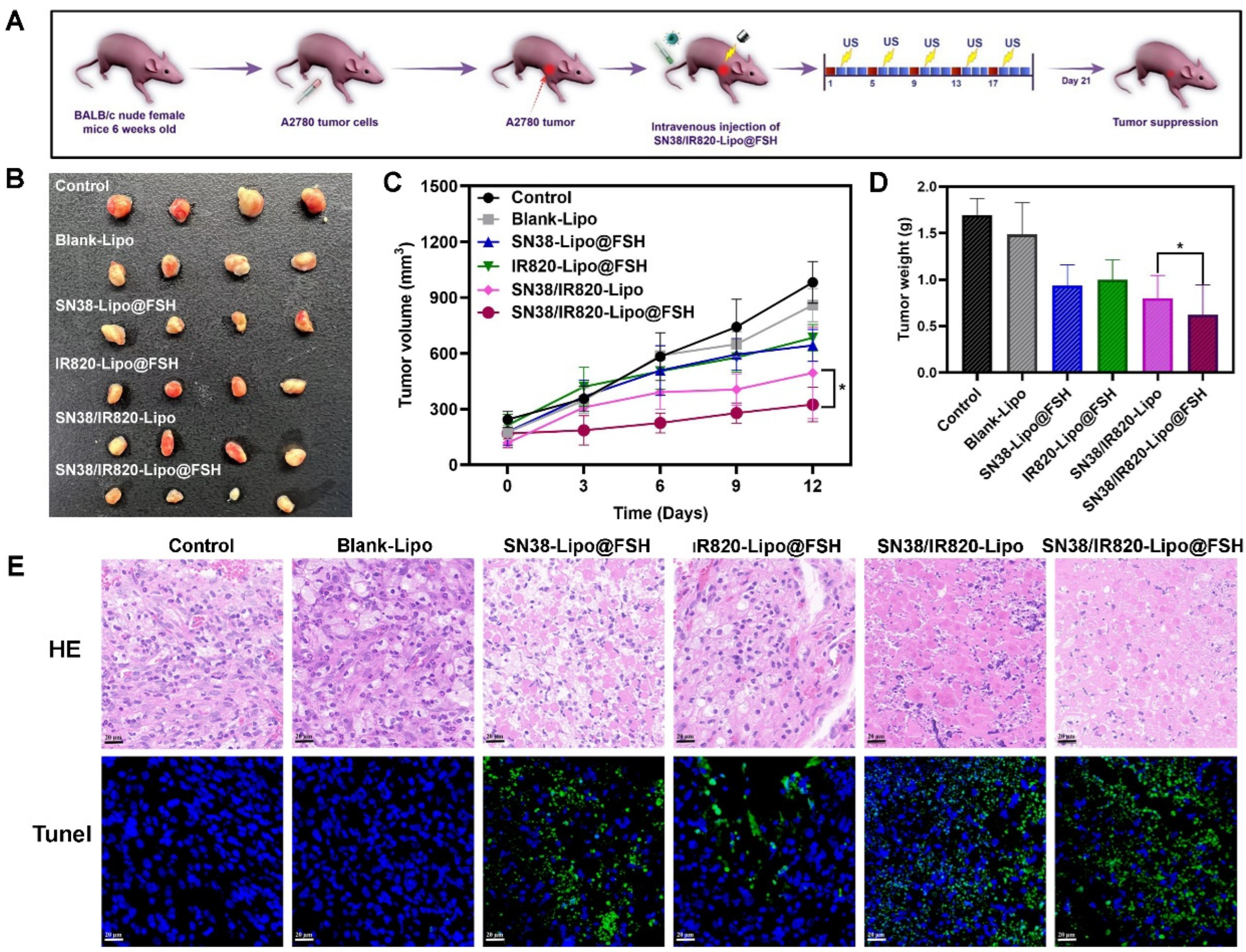 Preprints 98197 g008