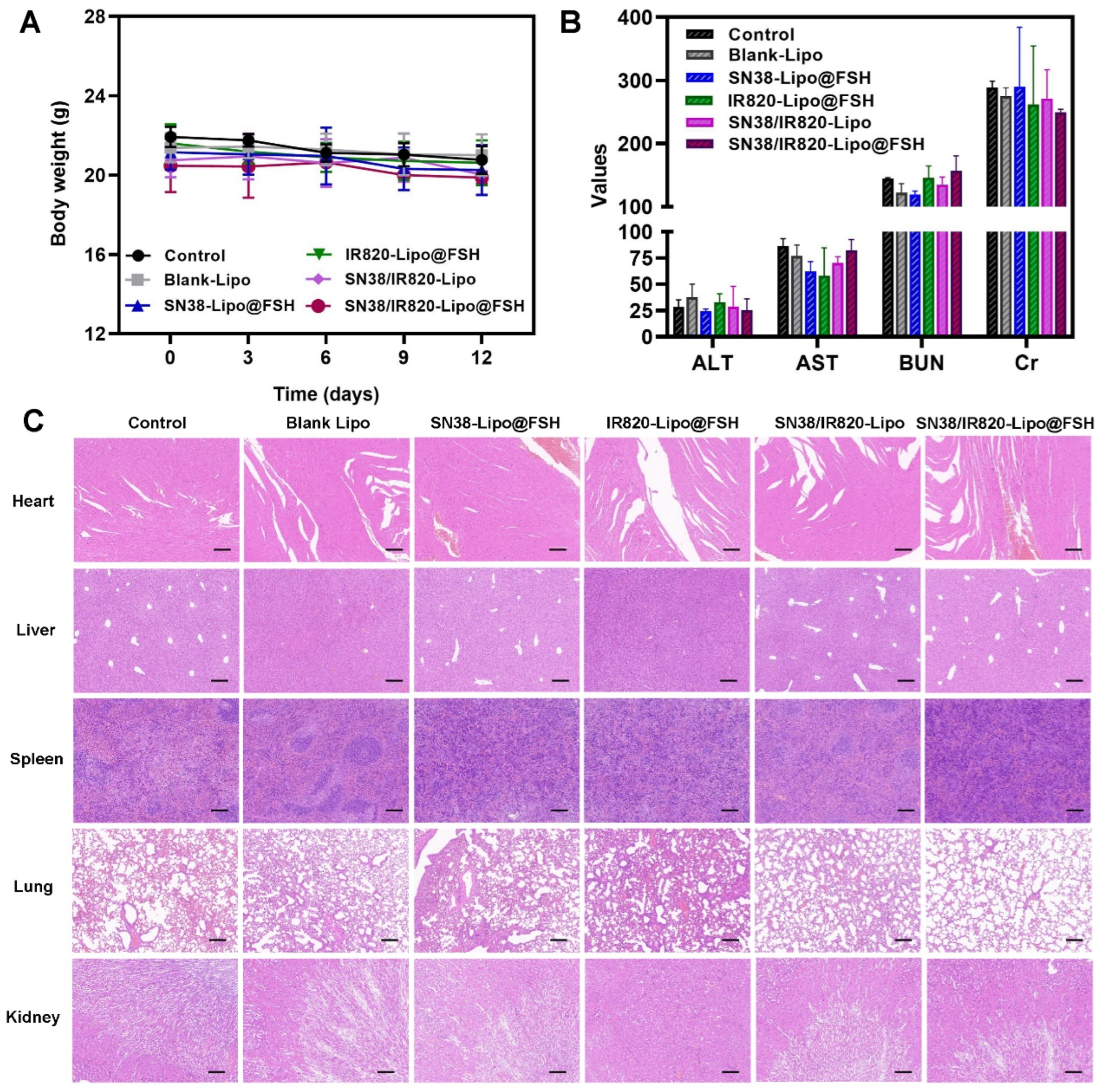 Preprints 98197 g009